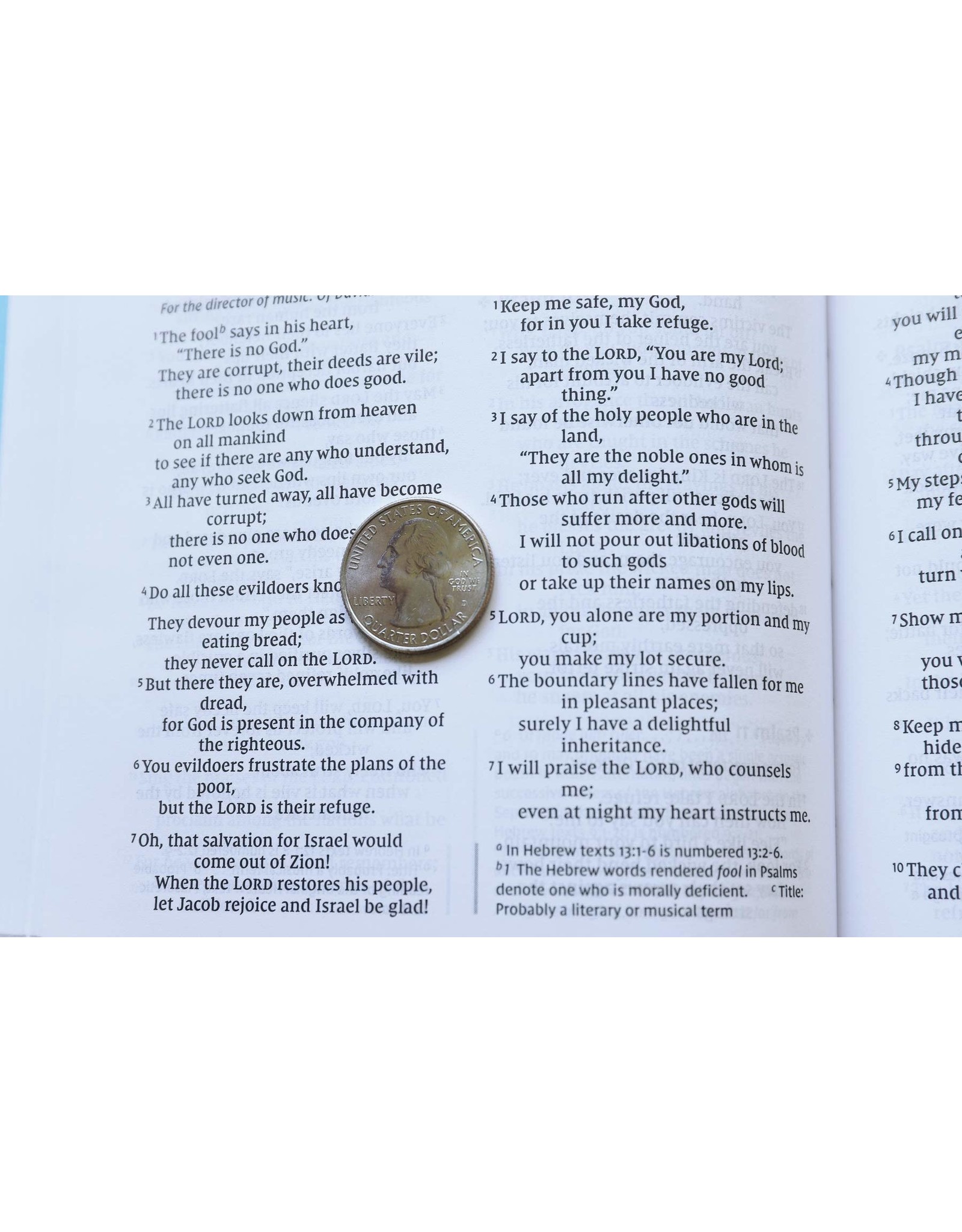 Zondervan NIV Value Thinline Bible, Blue Imitation Leather