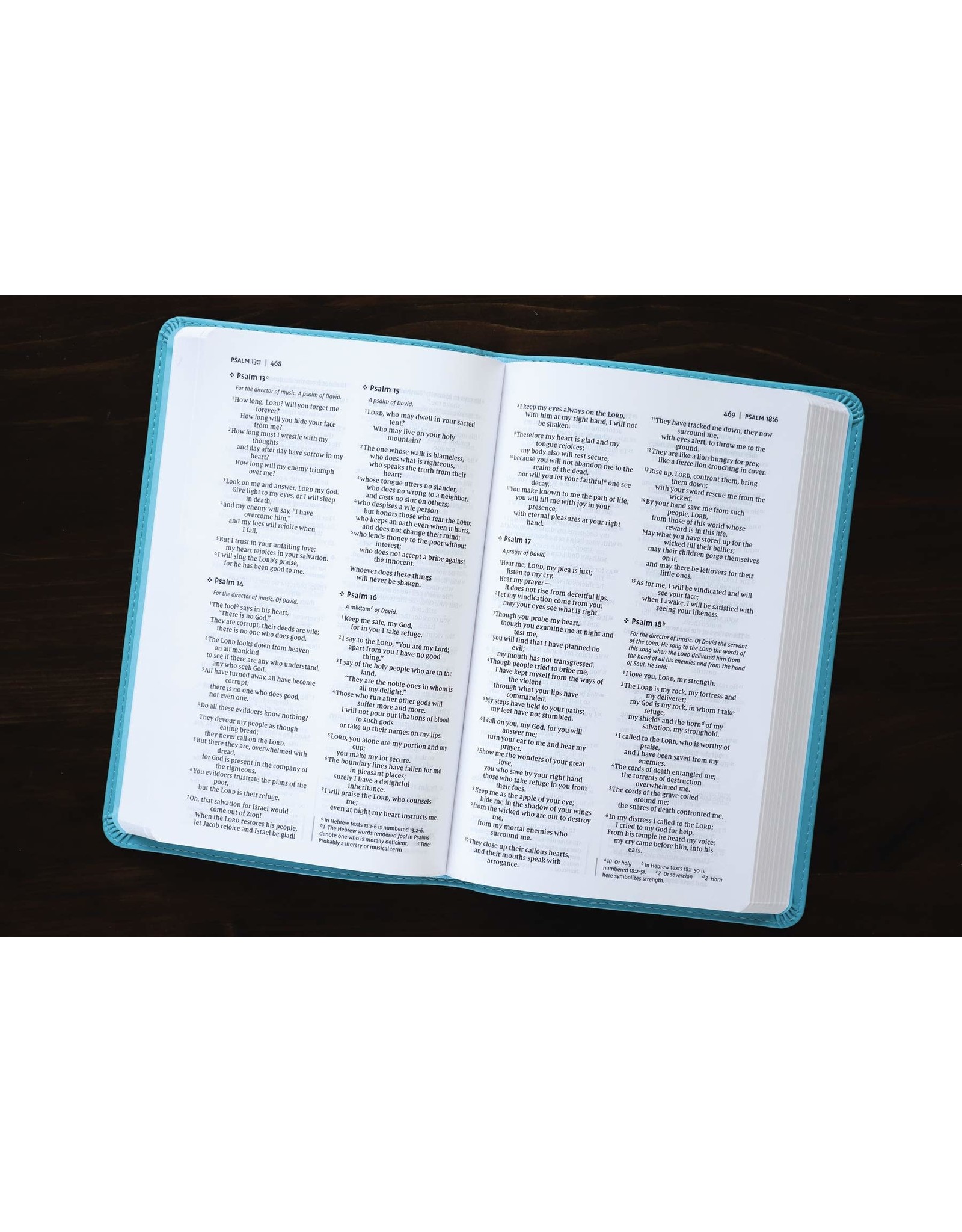 Zondervan NIV Value Thinline Bible, Blue Imitation Leather
