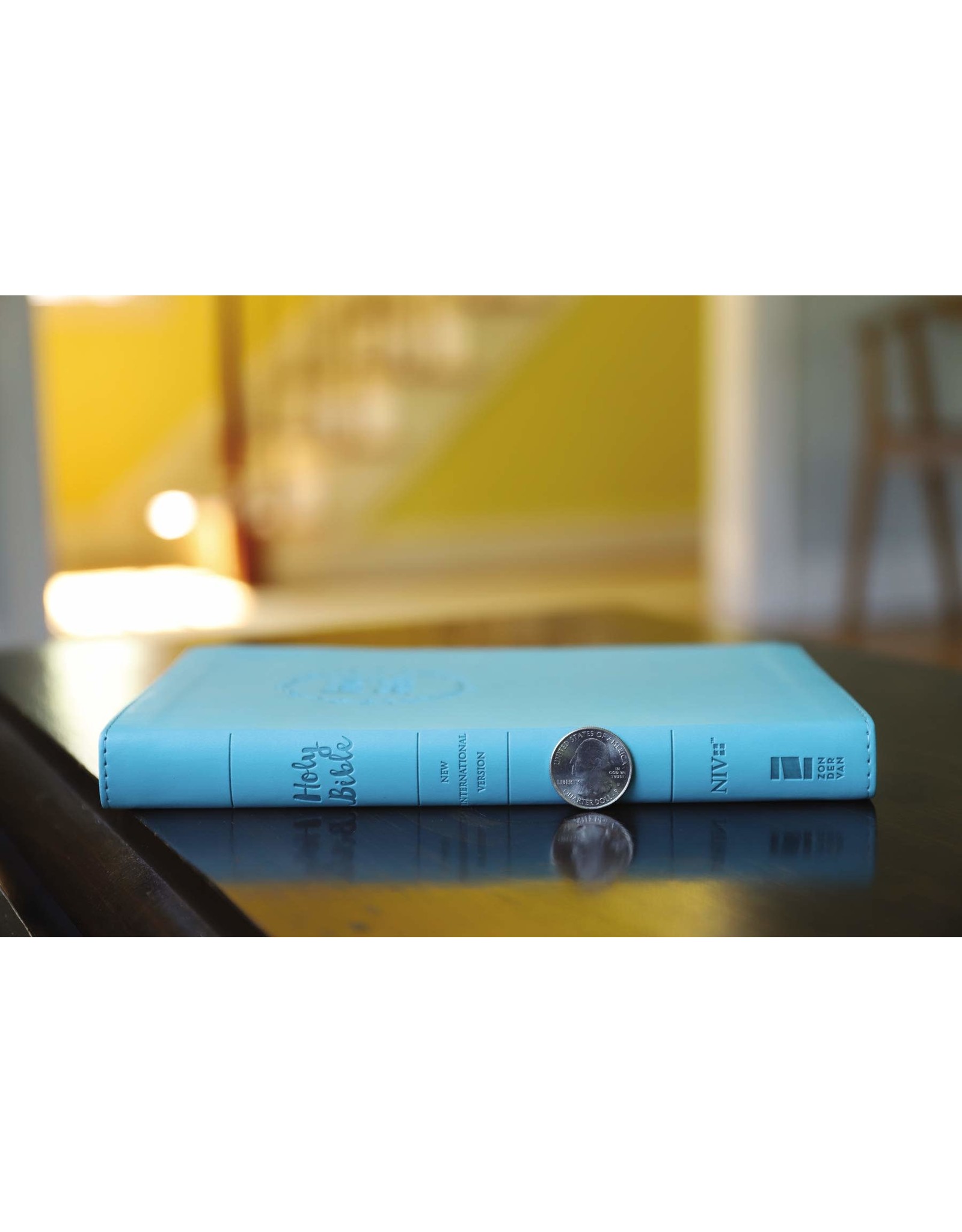 Zondervan NIV Value Thinline Bible, Blue Imitation Leather
