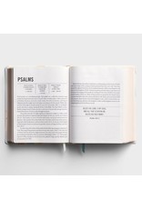 Zondervan ESV The Jesus Bible, Artist Edition - Leathersoft