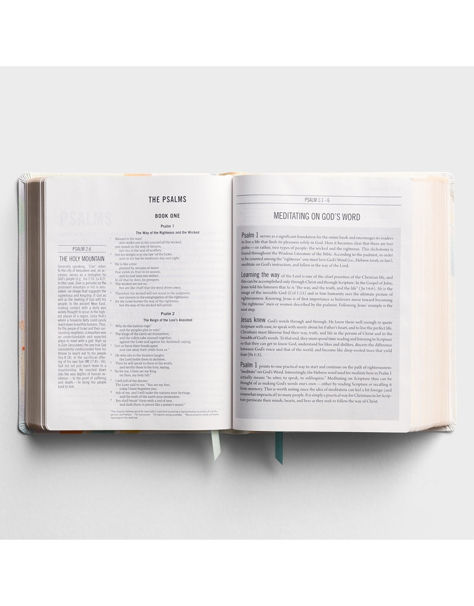 ESV The Jesus Bible, Artist Edition - Leathersoft
