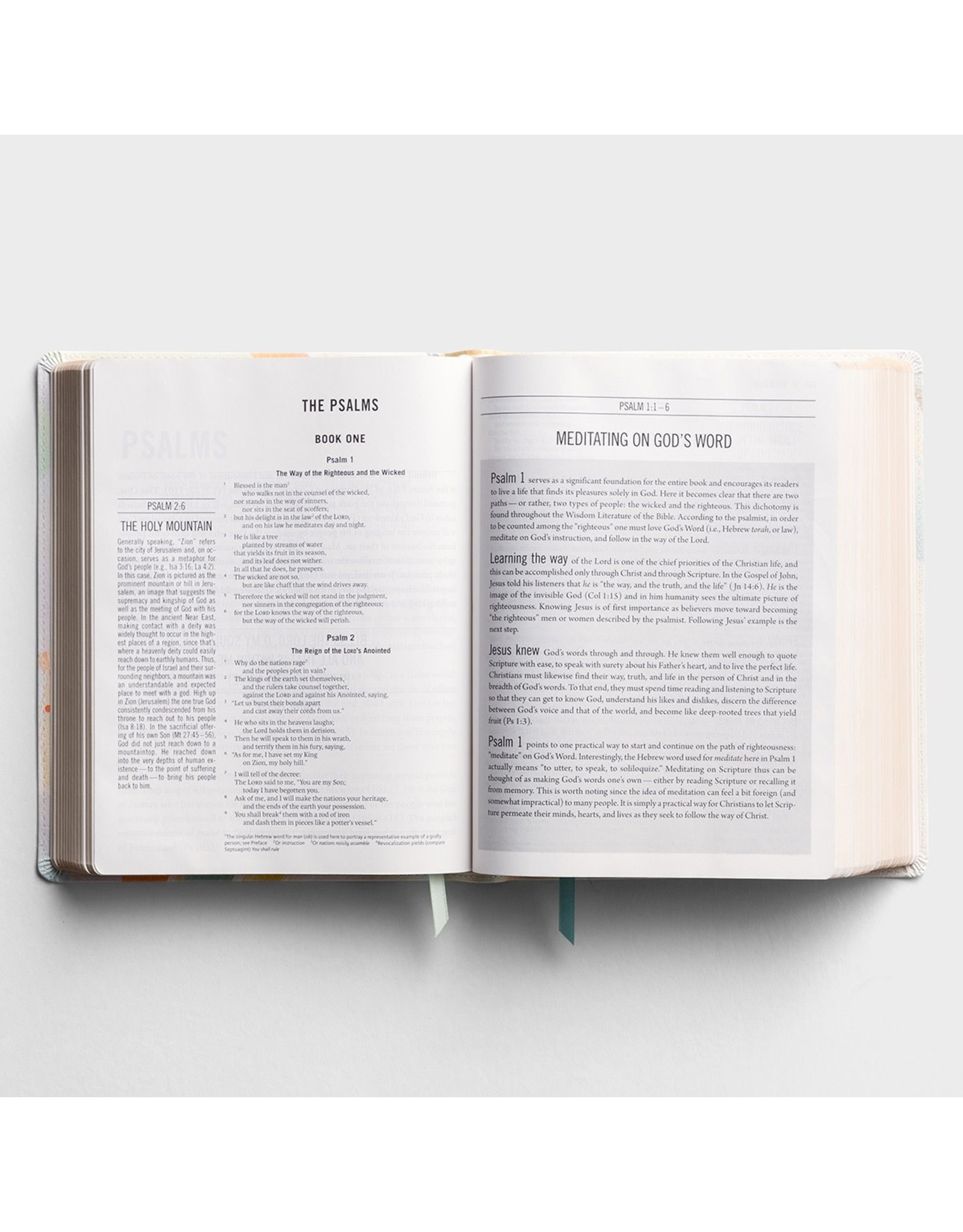Zondervan ESV The Jesus Bible, Artist Edition - Leathersoft