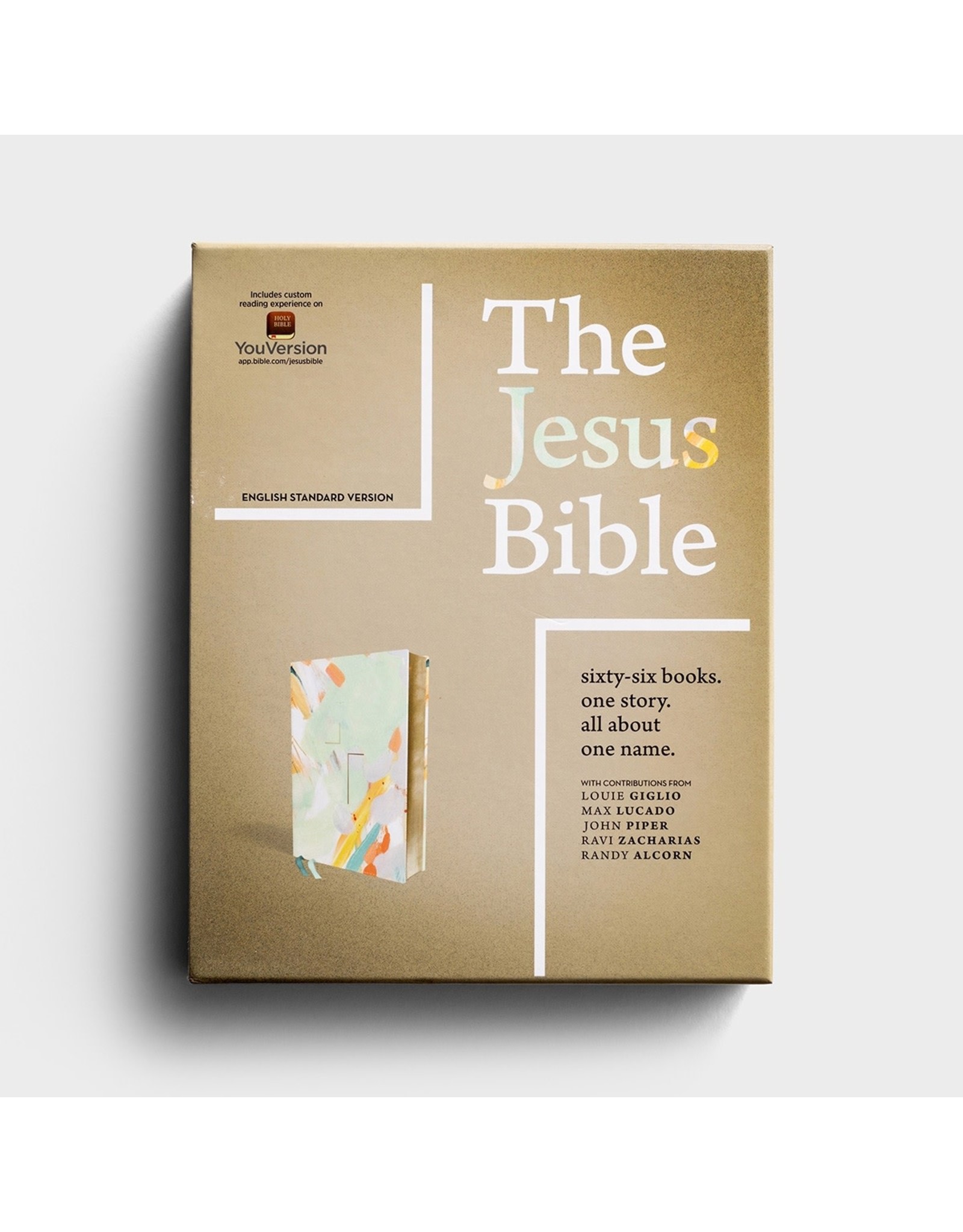 Zondervan ESV The Jesus Bible, Artist Edition - Leathersoft