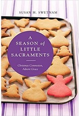 Liturgical Press A Season of Little Sacraments: Christmas Commotion, Advent Grace