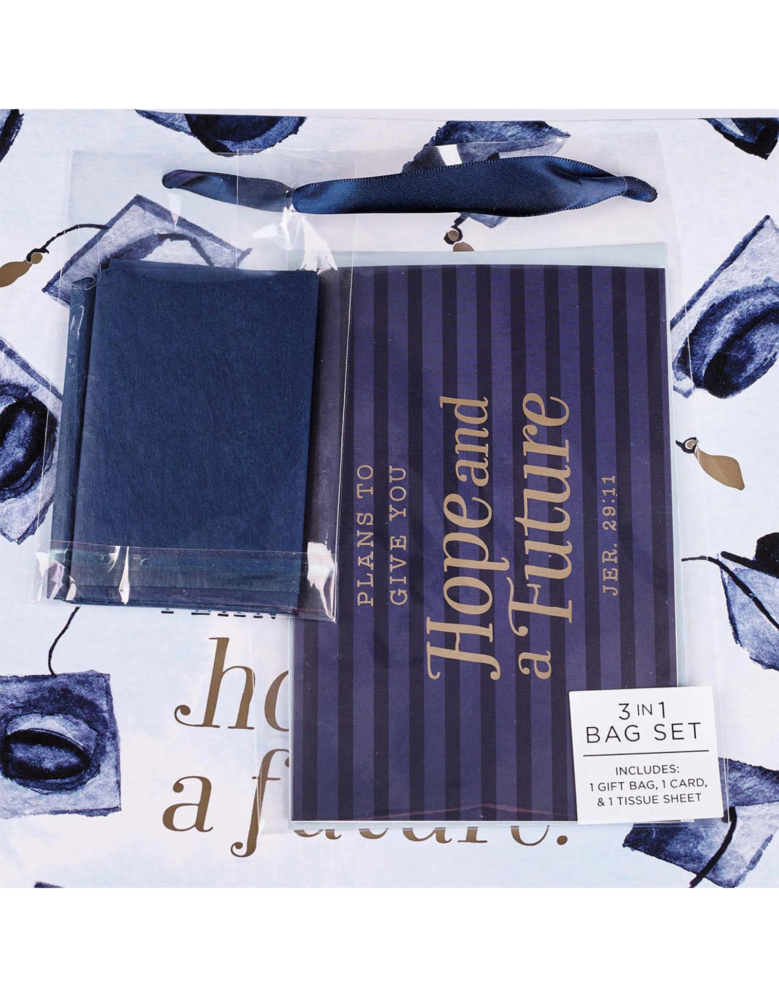 Christian Art Gifts Graduation Gift Bag - Hope and Future Jer 29:11 with Card & Envelope (Large)
