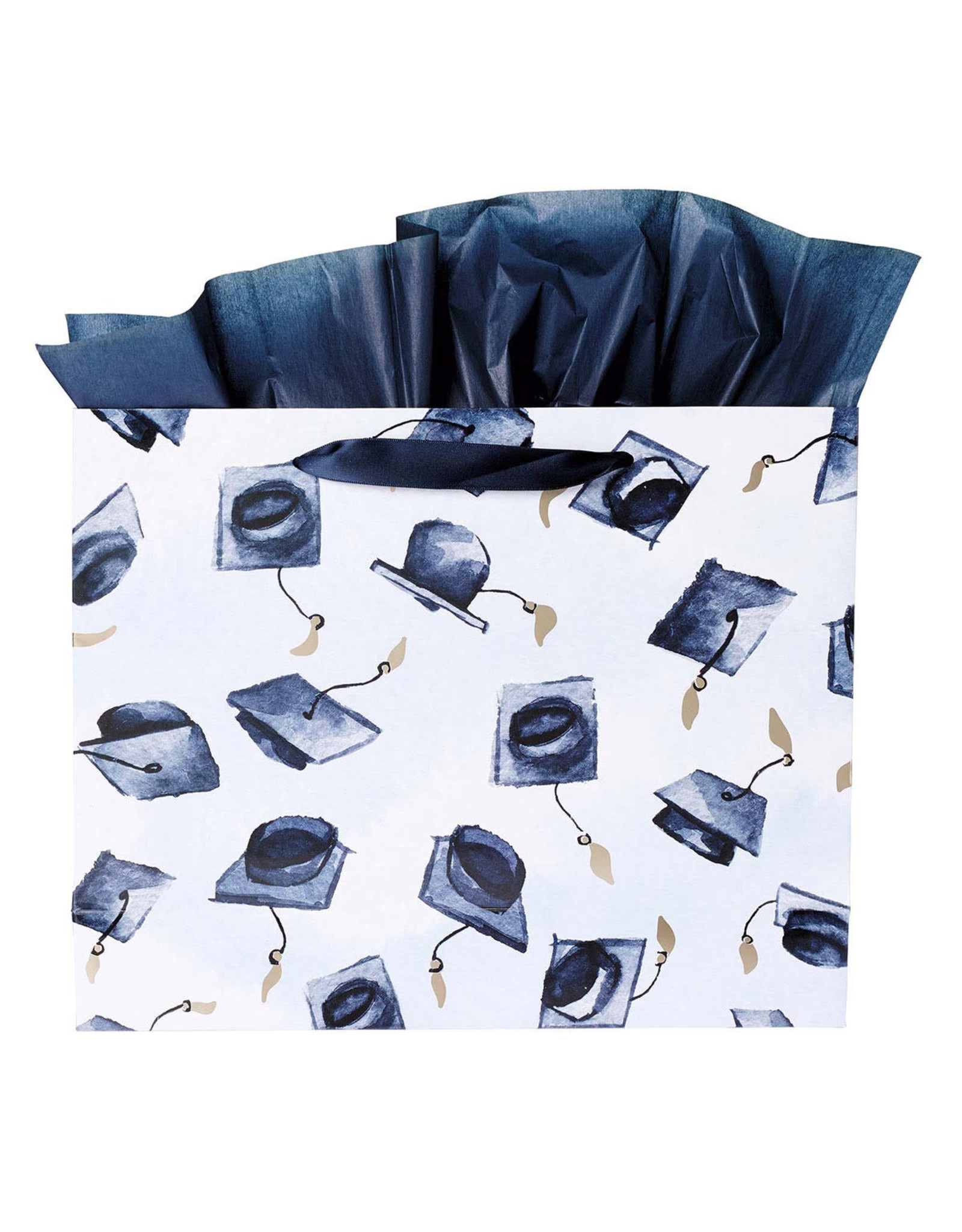 Christian Art Gifts Graduation Gift Bag - Hope and Future Jer 29:11 with Card & Envelope (Large)