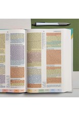 Holman CSB (Christian Standard) Rainbow Study Bible