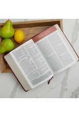 KJV Large Print Study Bible