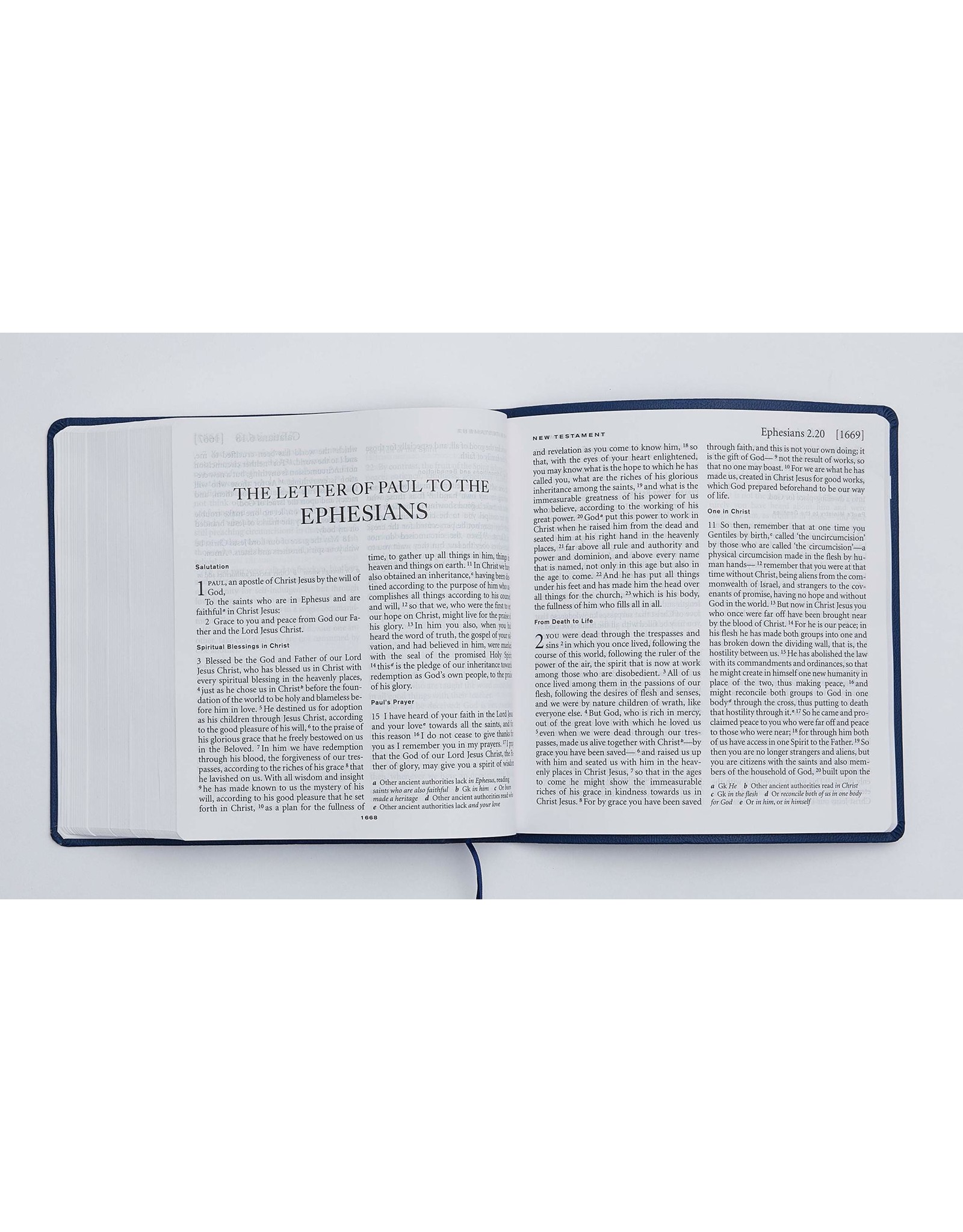 Catholic Bible Press NRSV X-Large Print Catholic Bible