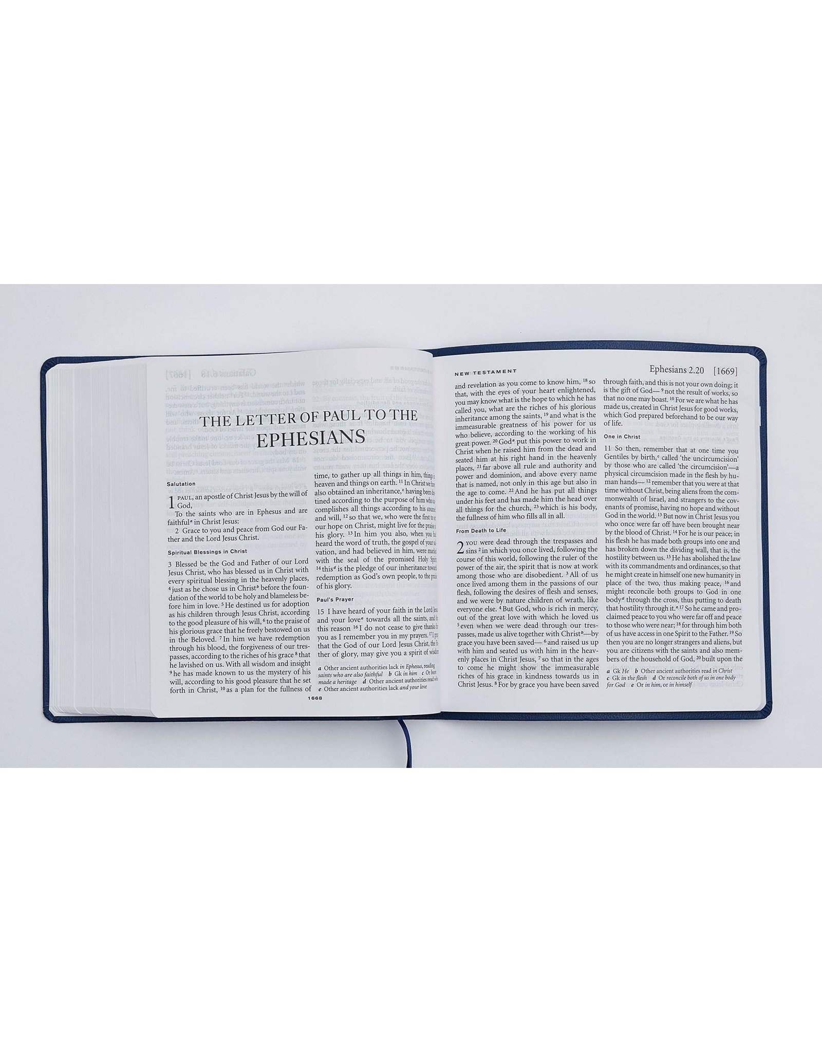 NRSV Large Print Catholic Bible