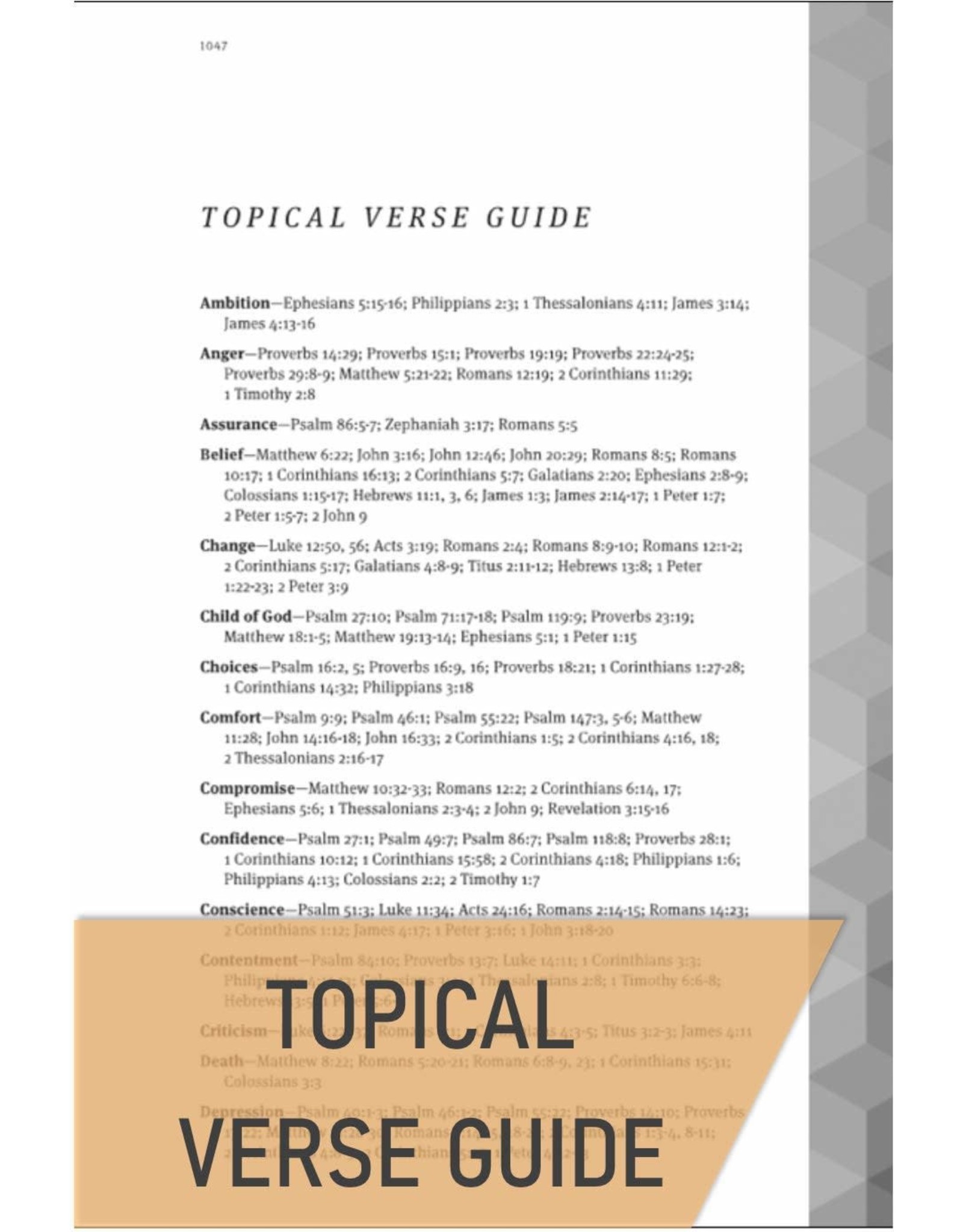 NavPress Message Deluxe Gift Bible: The Bible in Contemporary Language-Brown/Saddle Tan Leather Look