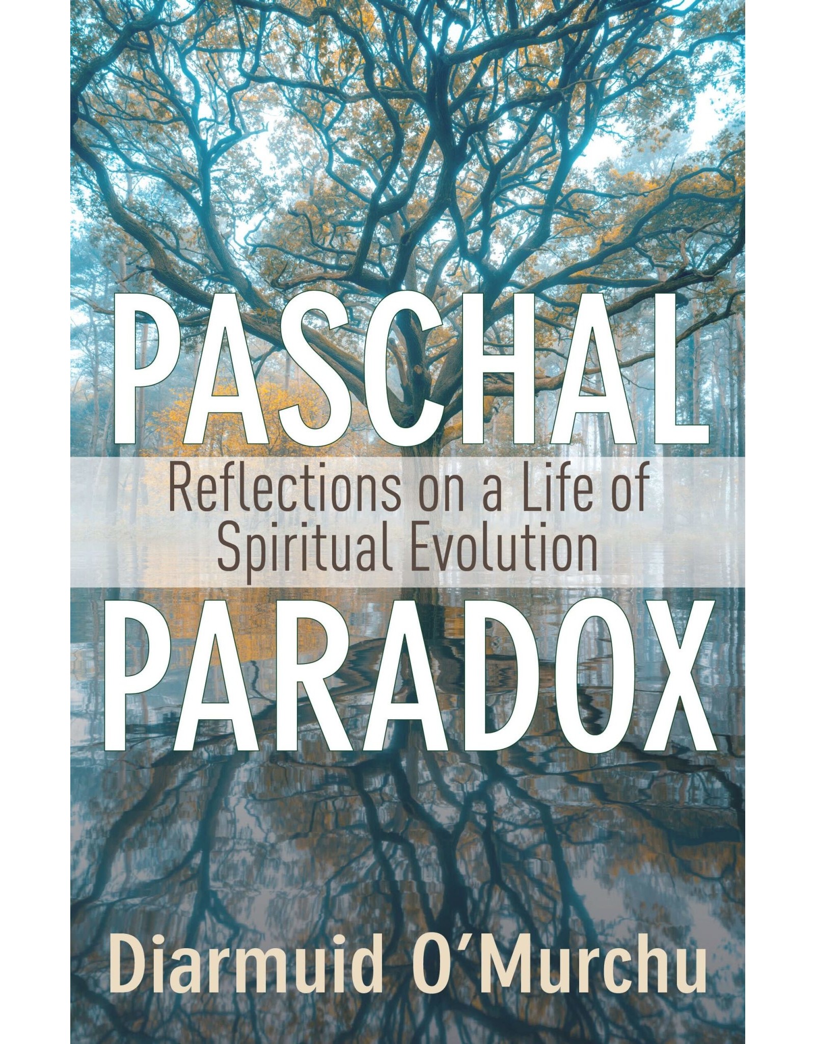 Franciscan Media Paschal Paradox: Reflections on a Life of Spiritual Evolution