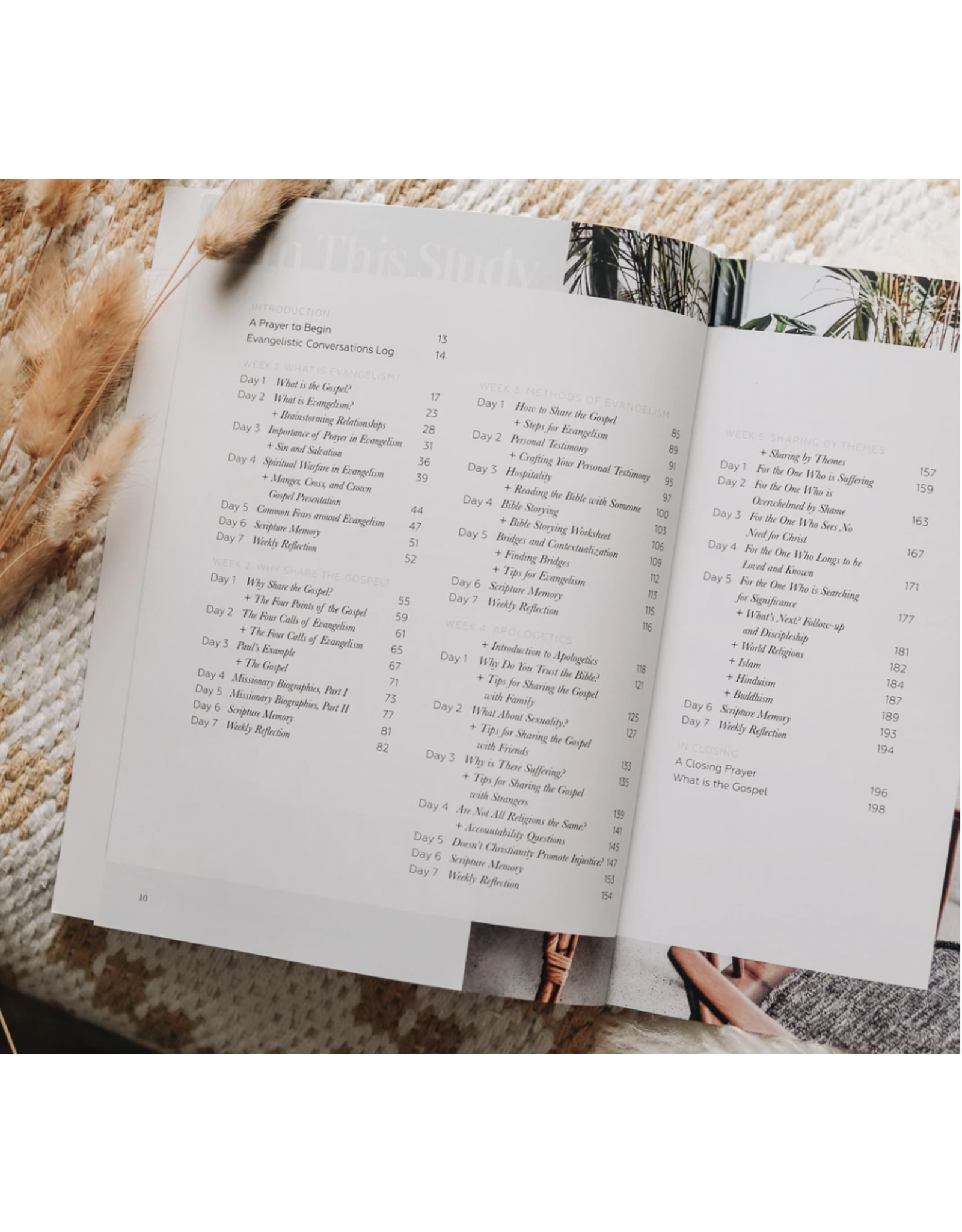 The Daily Grace Co. Evangelism Study: Sharing our Faith