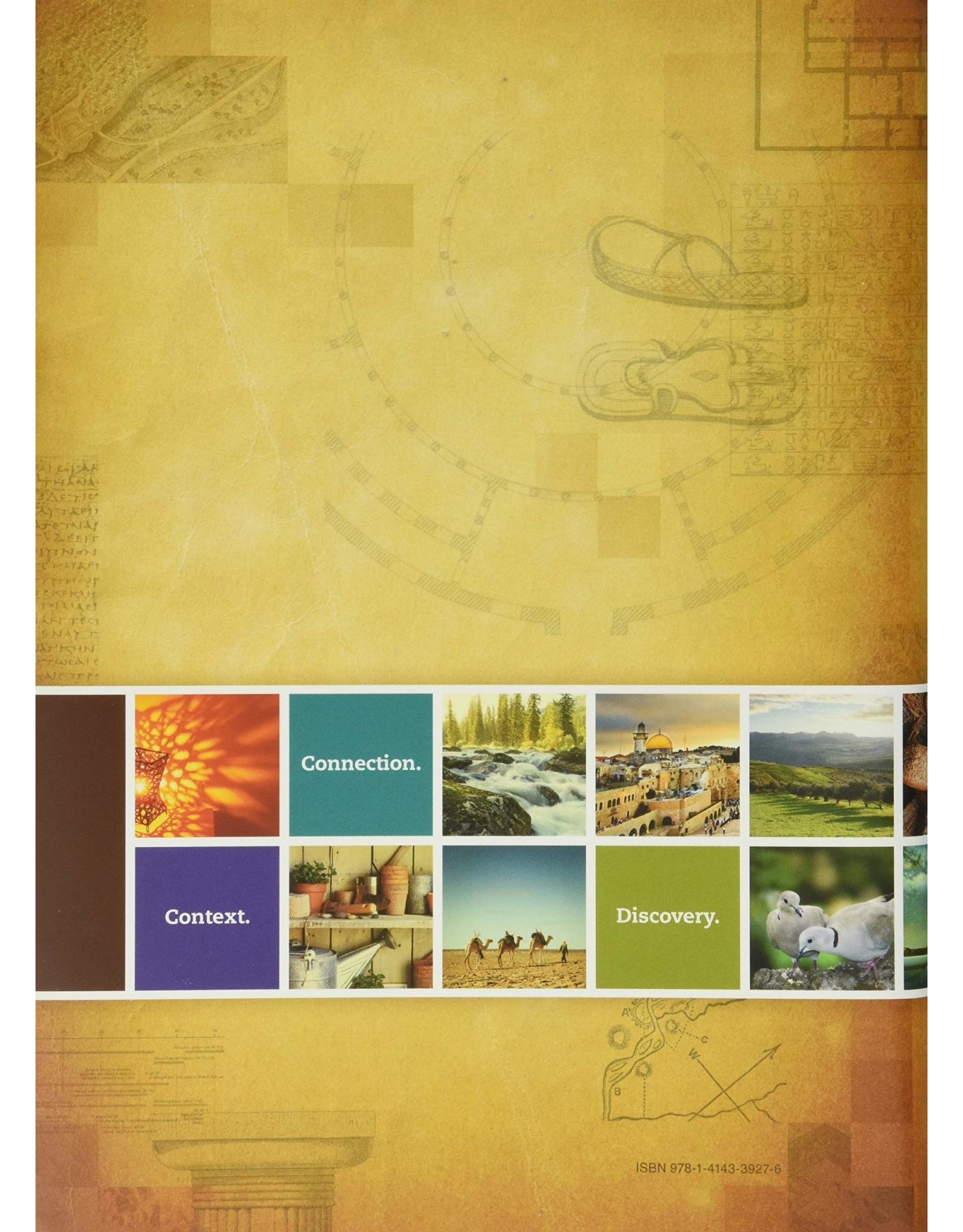 Tyndale NLT Chronological Life Application Study Bible