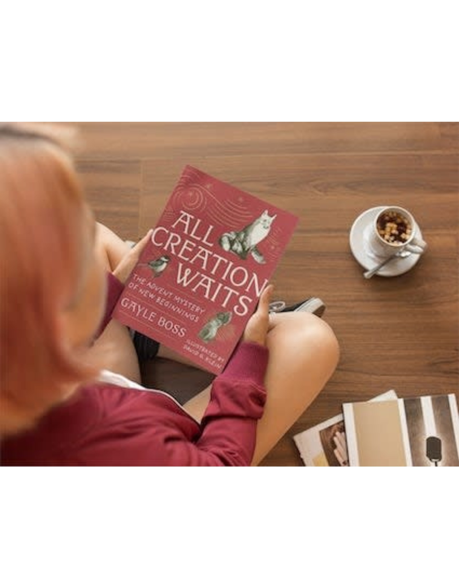 Paraclete Press All Creation Waits: The Advent Mystery of New Beginnings