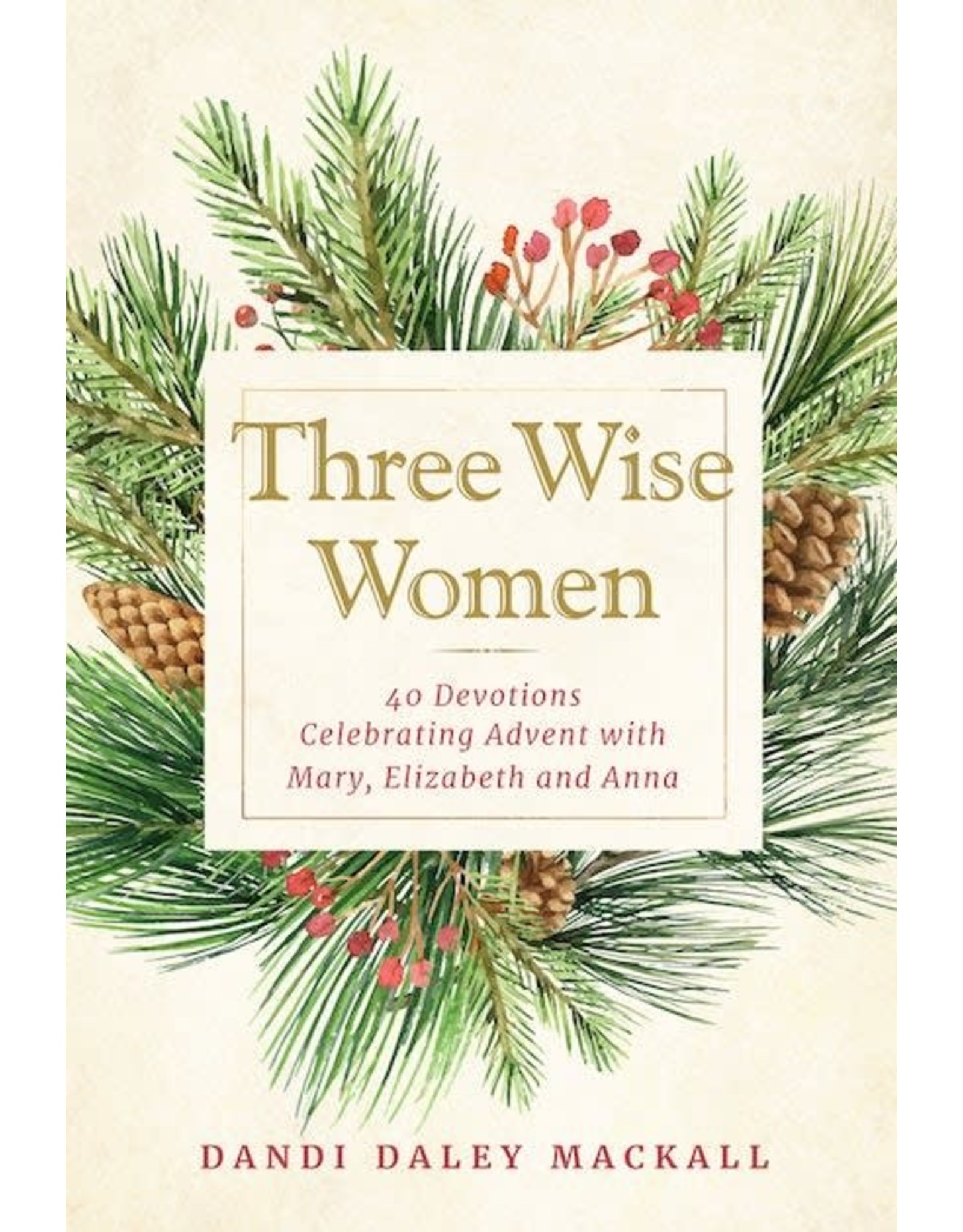 Paraclete Press Three Wise Women: 40 Devotions Celebrating Advent with Mary, Elizabeth, & Anna