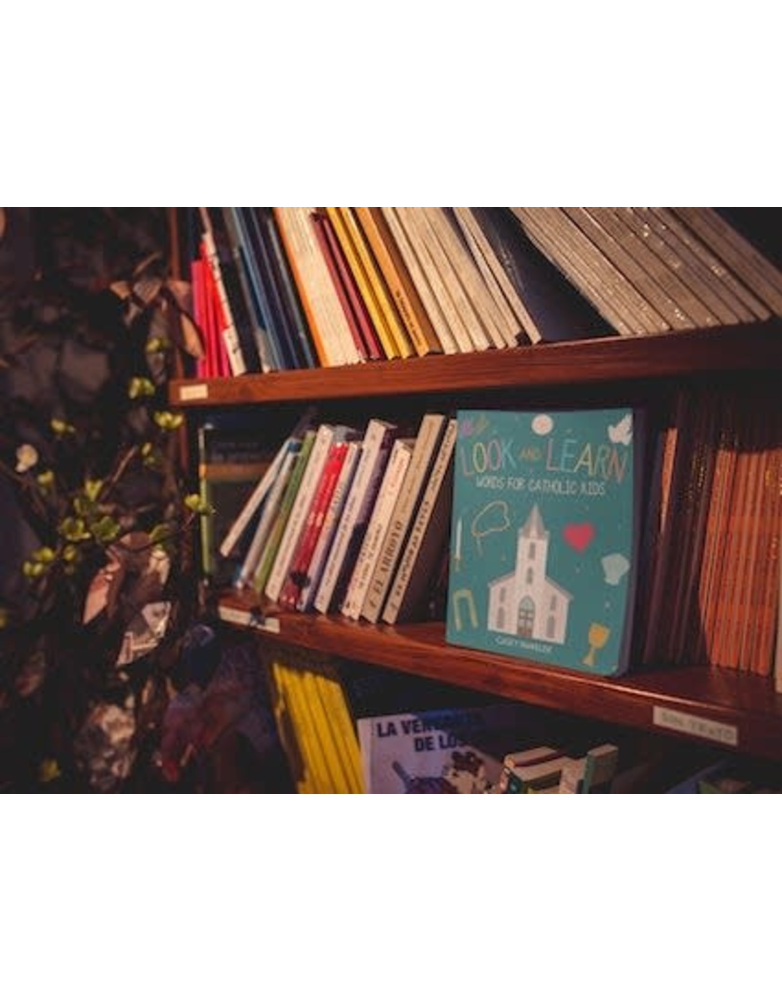 Paraclete Press Look & Learn: Words for Catholic Kids