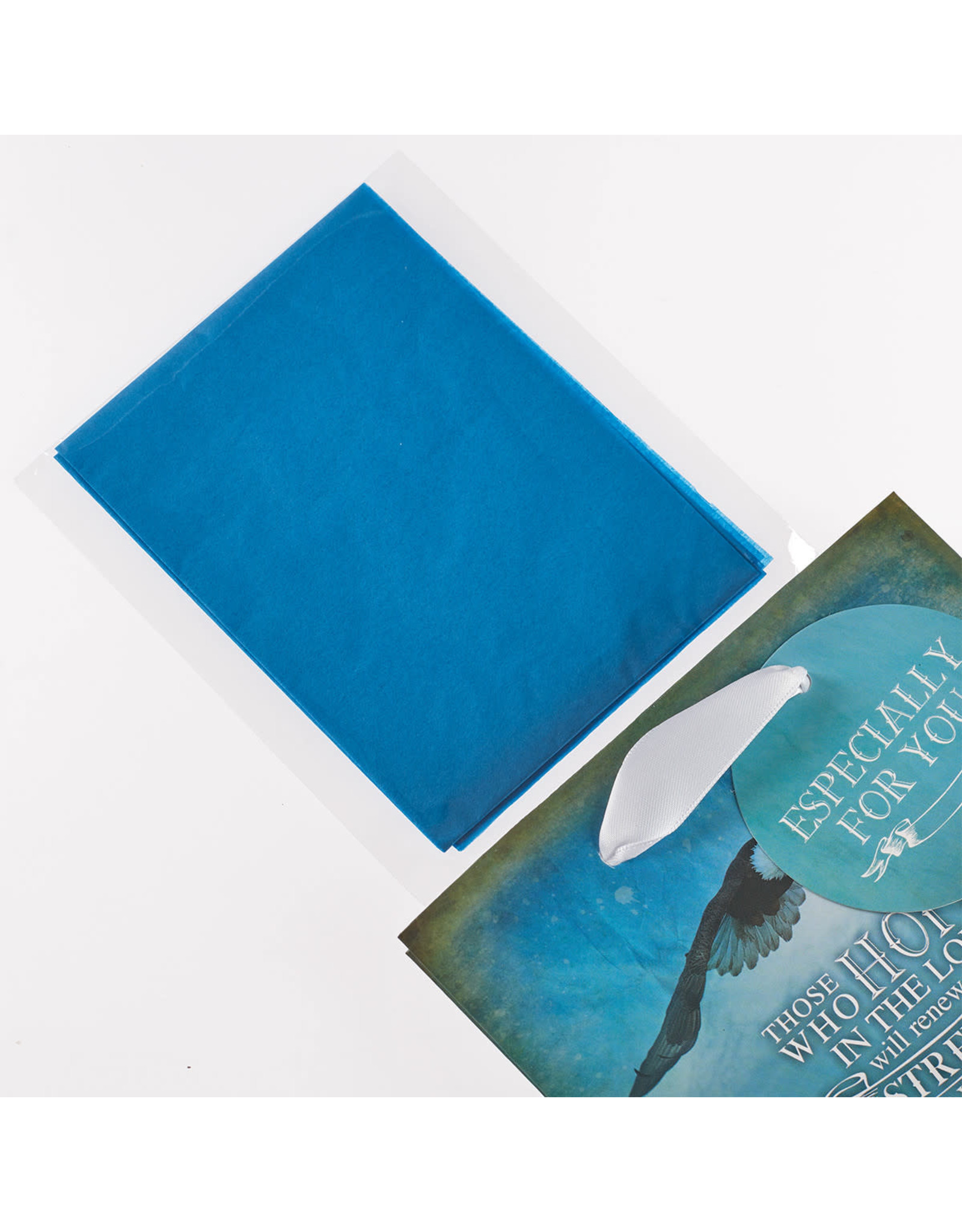 Christian Art Gifts Gift Bag - On Wings Like Eagles (Small)