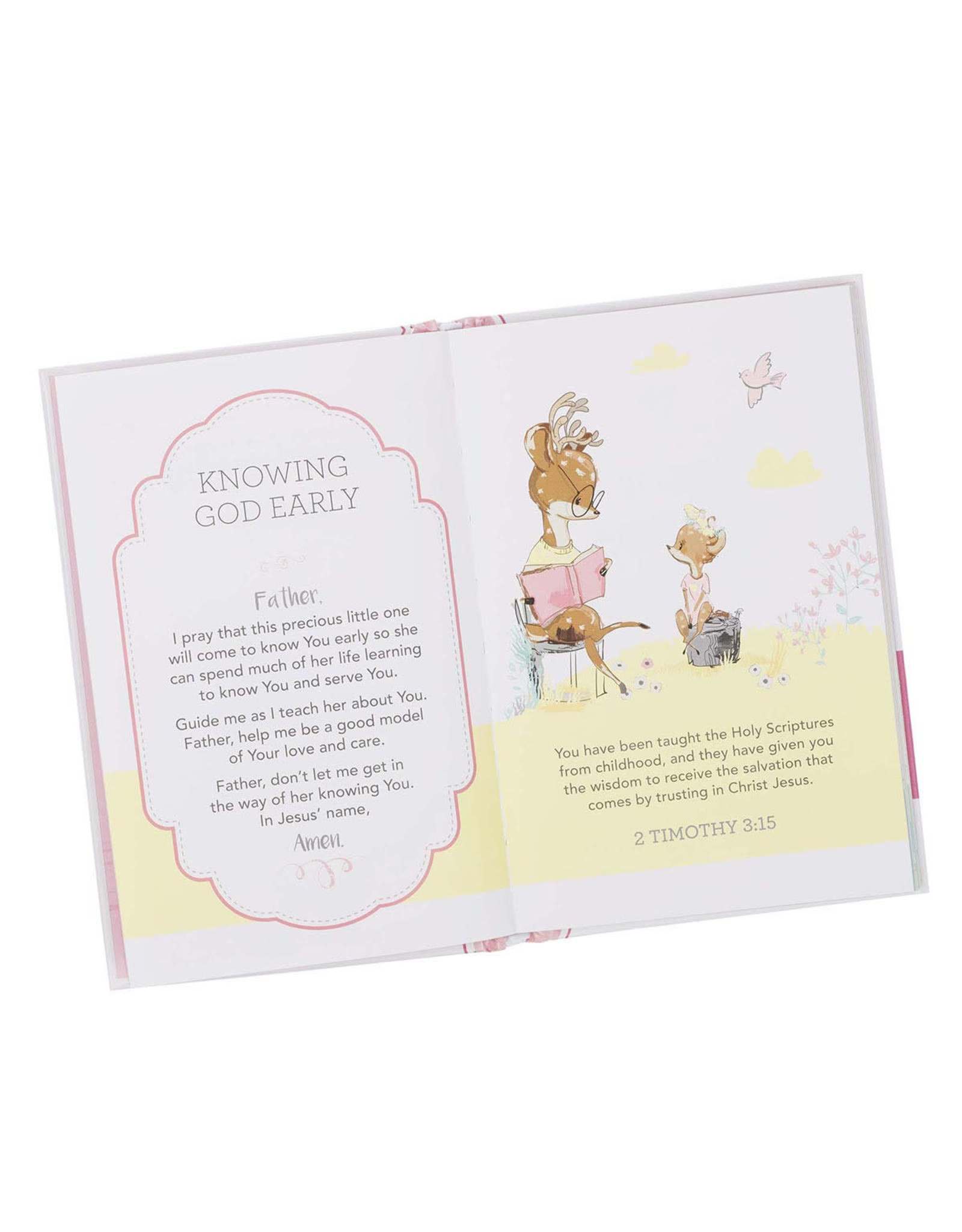 Christian Art Publishers Prayers for My Baby Girl Prayer Book