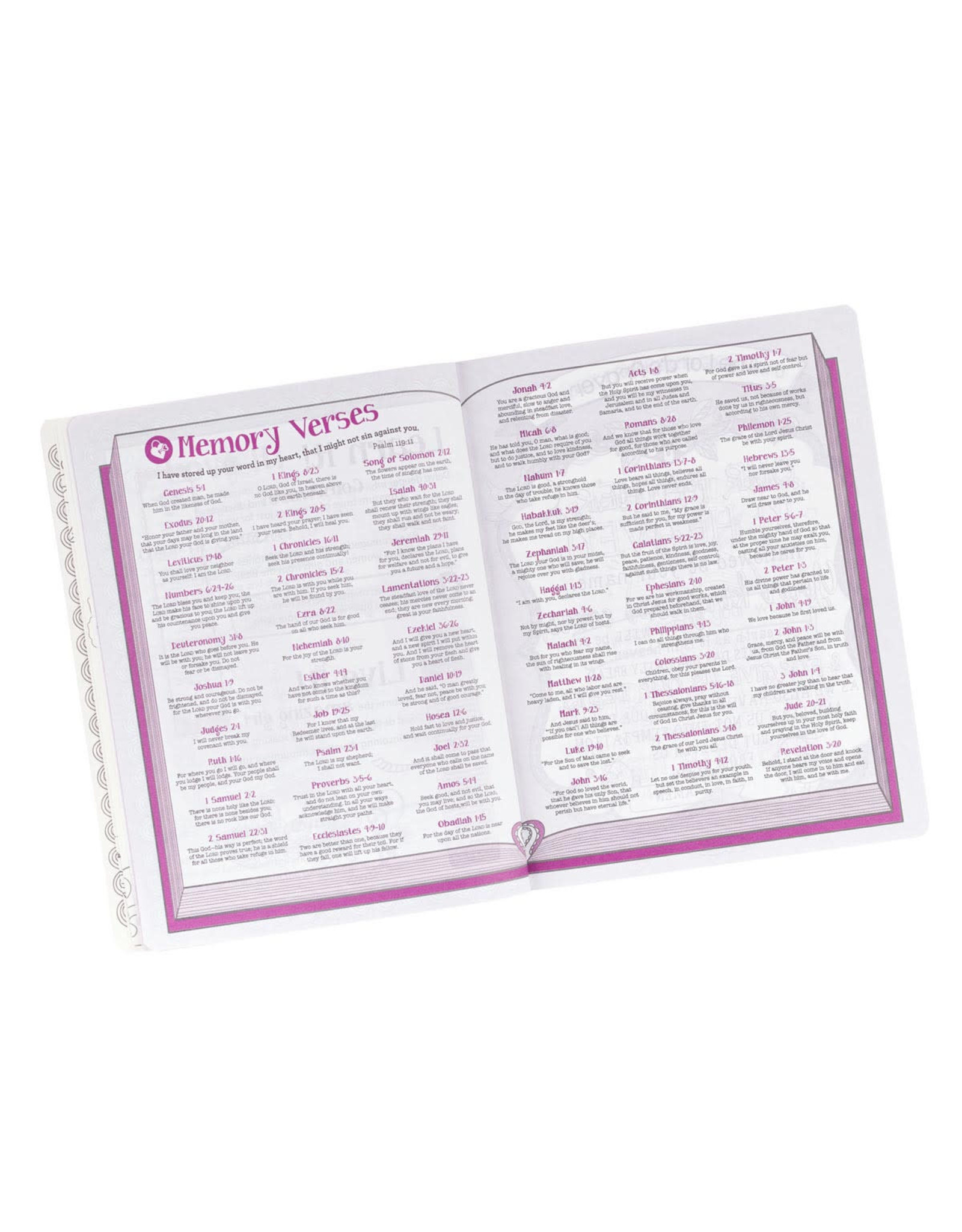 Christian Art Publishers ESV My Creative Bible for Girls - Pink Floral Heart Flexcover Journaling Bible