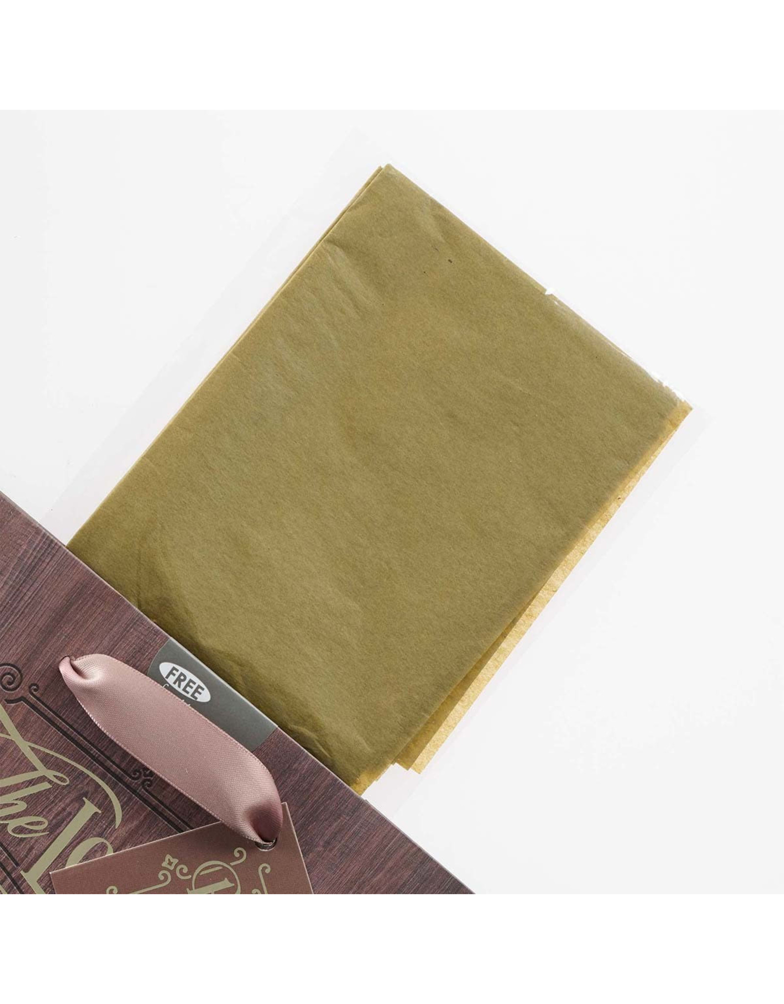 Christian Art Gifts Gift Bag - The Lord is my Strength and Shield Psalm 28:7 (Medium)