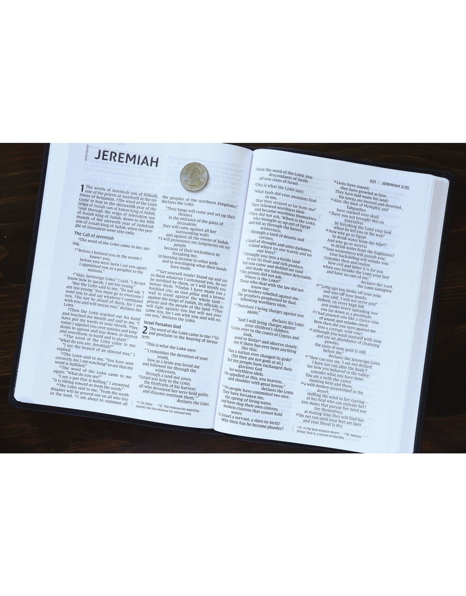 Zondervan NIV Large Print Value Thinline Gray/Black Imitation Leather Bible