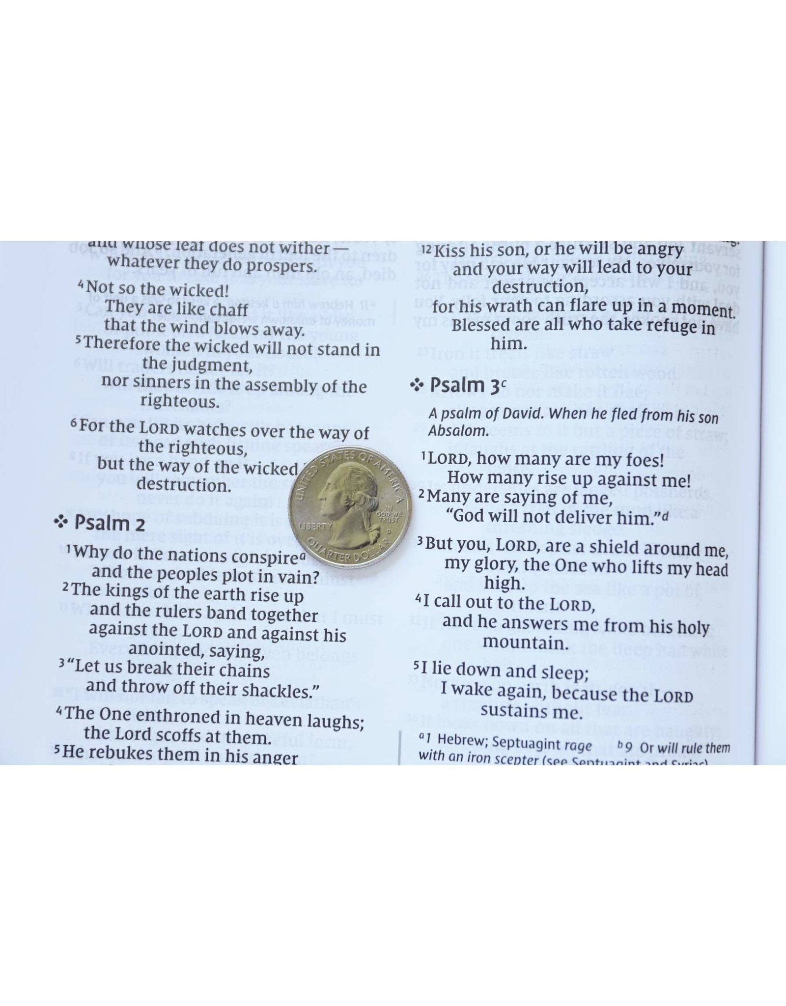 Zondervan NIV Large Print Value Thinline Gray/Black Imitation Leather Bible