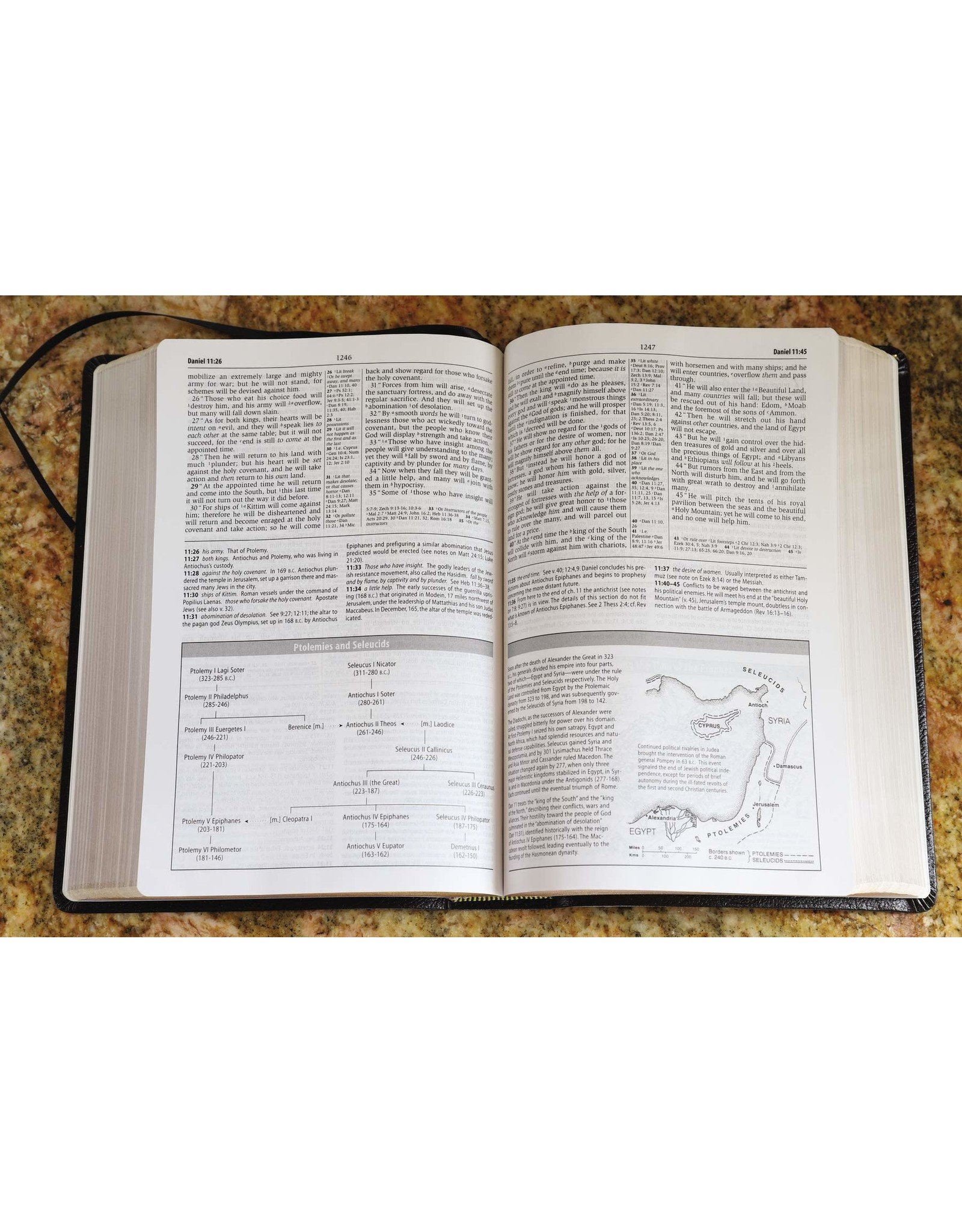 Zondervan NASB Study Bible, Black Bonded Leather