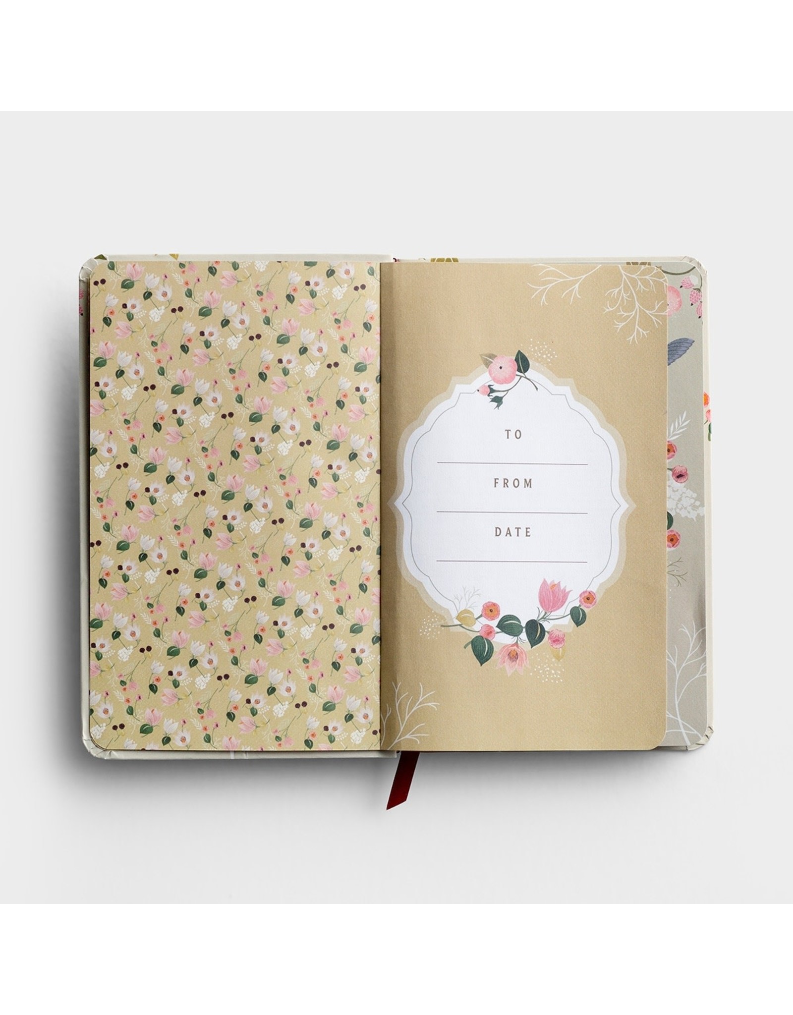 Dayspring Prayer A Day-Daily Devotional for Hope & Encouragement