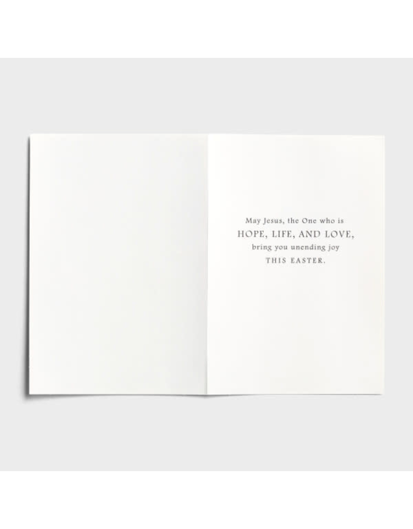 Dayspring Boxed Easter Cards - He is Risen (12)