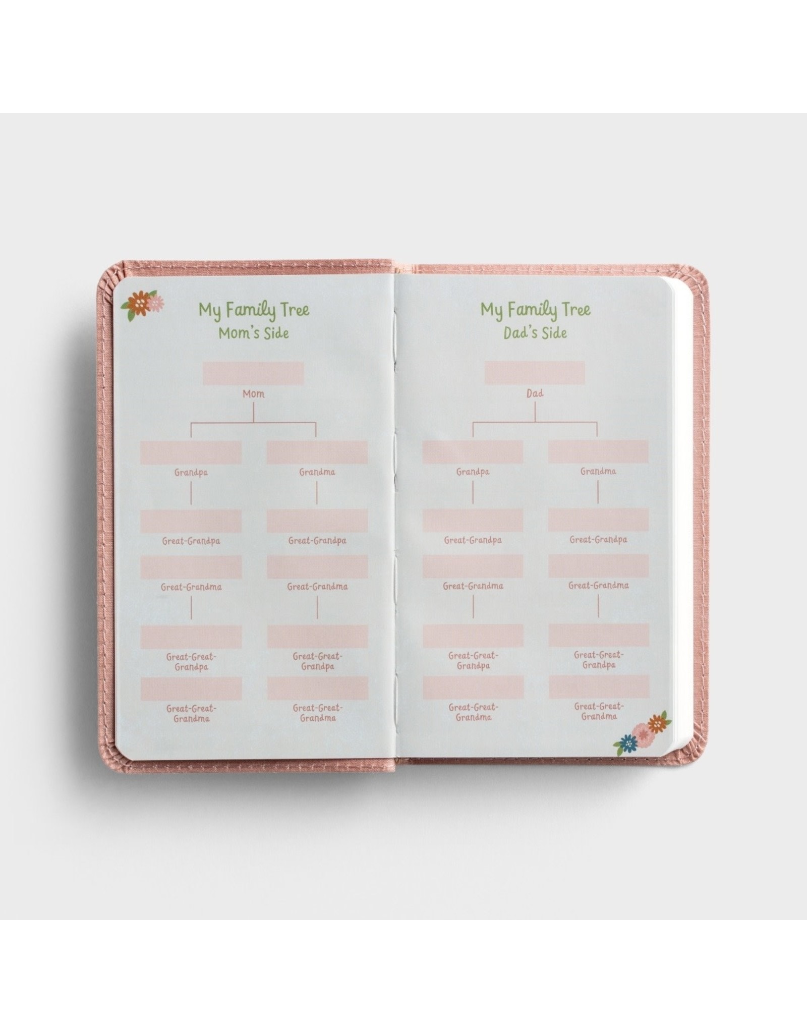 Dayspring Baby Girl's First Bible: Wonderfully Made