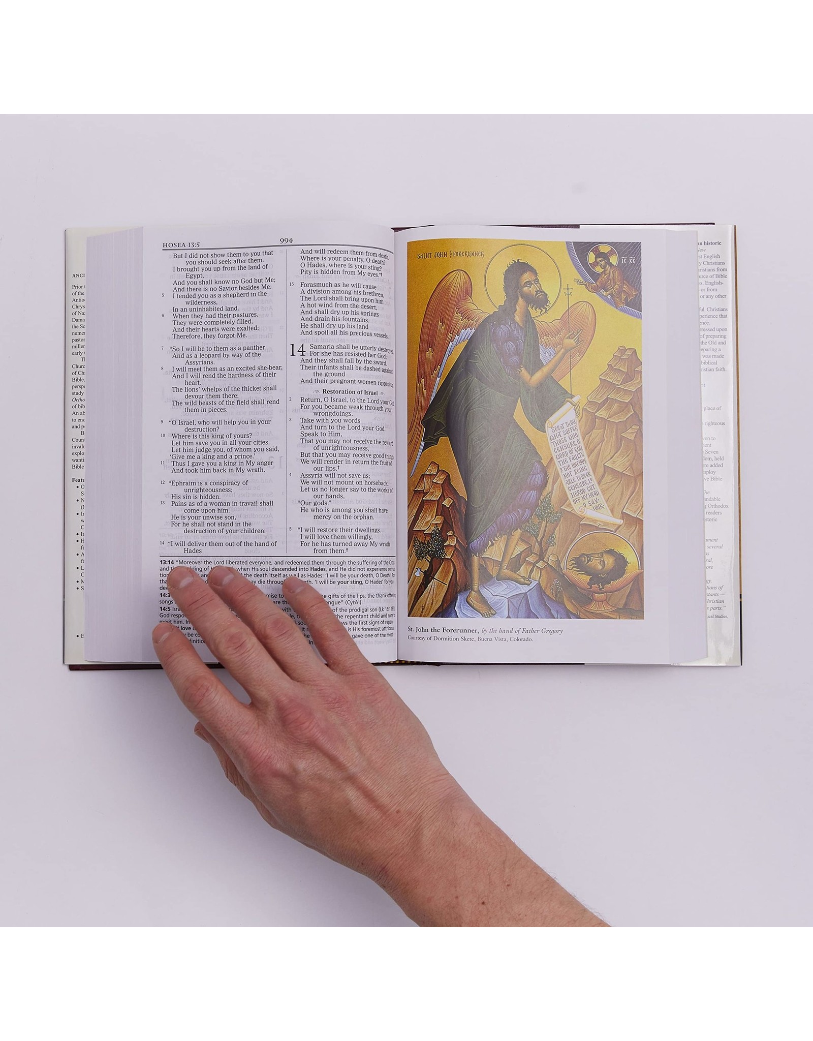 Thomas Nelson Orthodox Study Bible