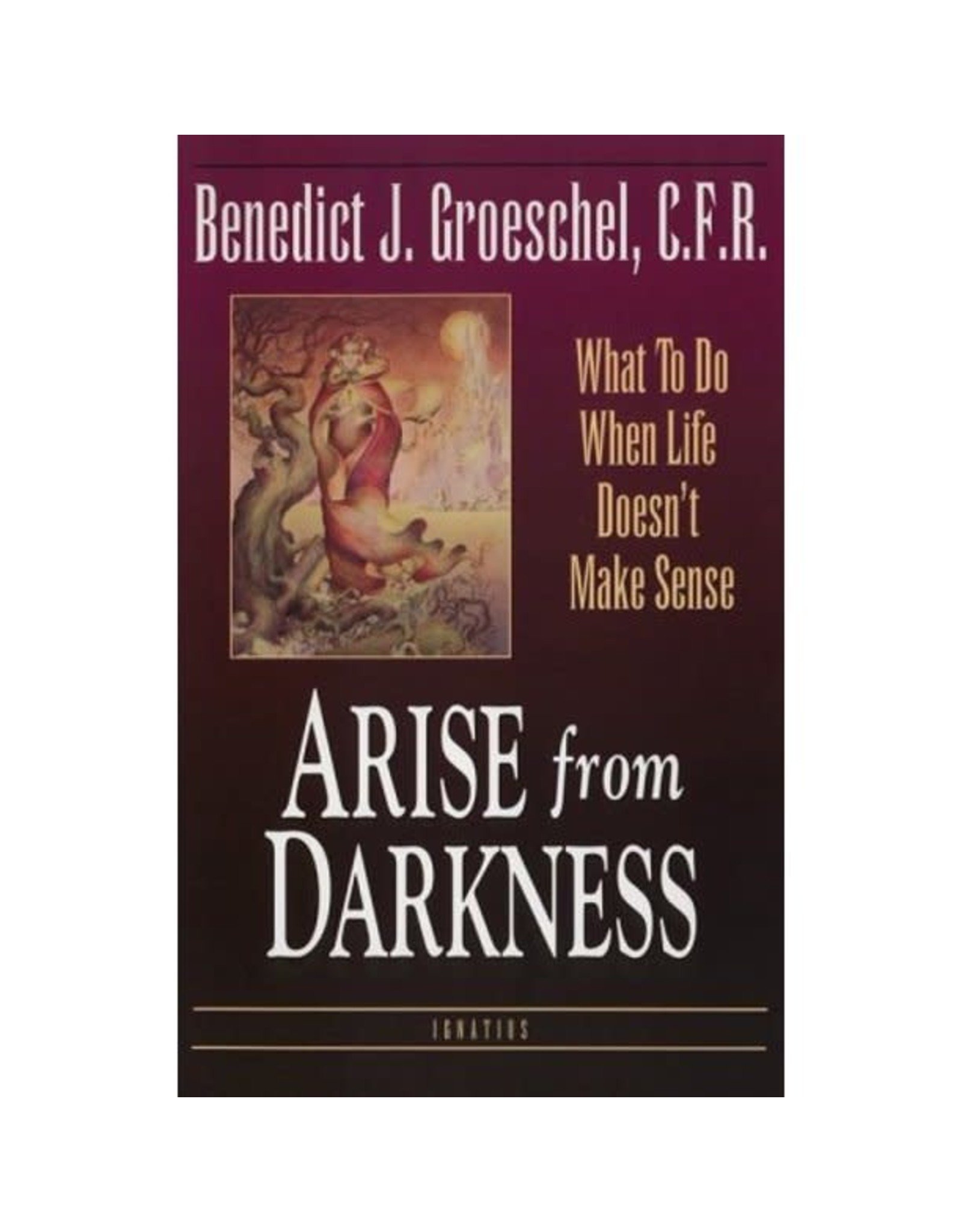 Ignatius Press Arise from Darkness: What to Do When Life Doesn't Make Sense