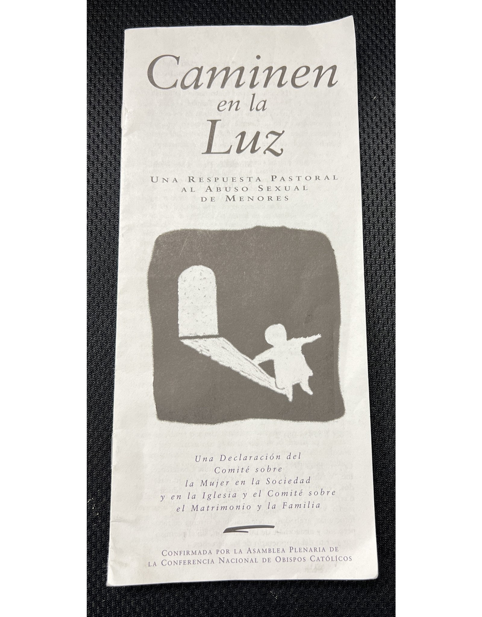 USCCB Caminen en la Luz