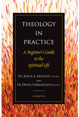 Ignatius Press Theology in Practice A Beginner's Guide to the Spiritual Life