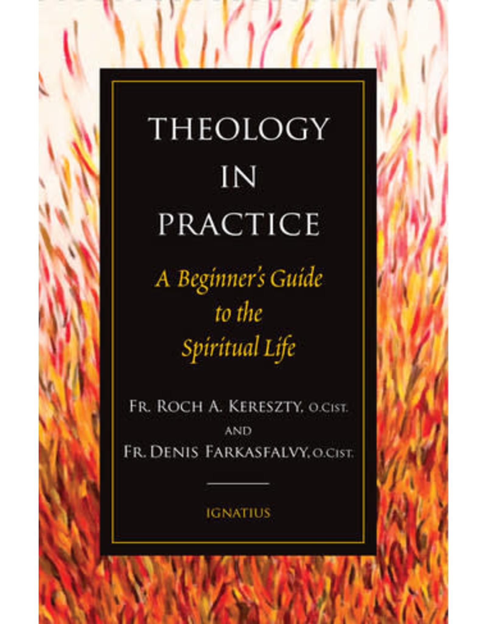 Ignatius Press Theology in Practice A Beginner's Guide to the Spiritual Life