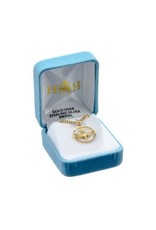 HMH Holy Spirit Dove Pendant Medal, Gold over Sterling Silver, 18" Chain