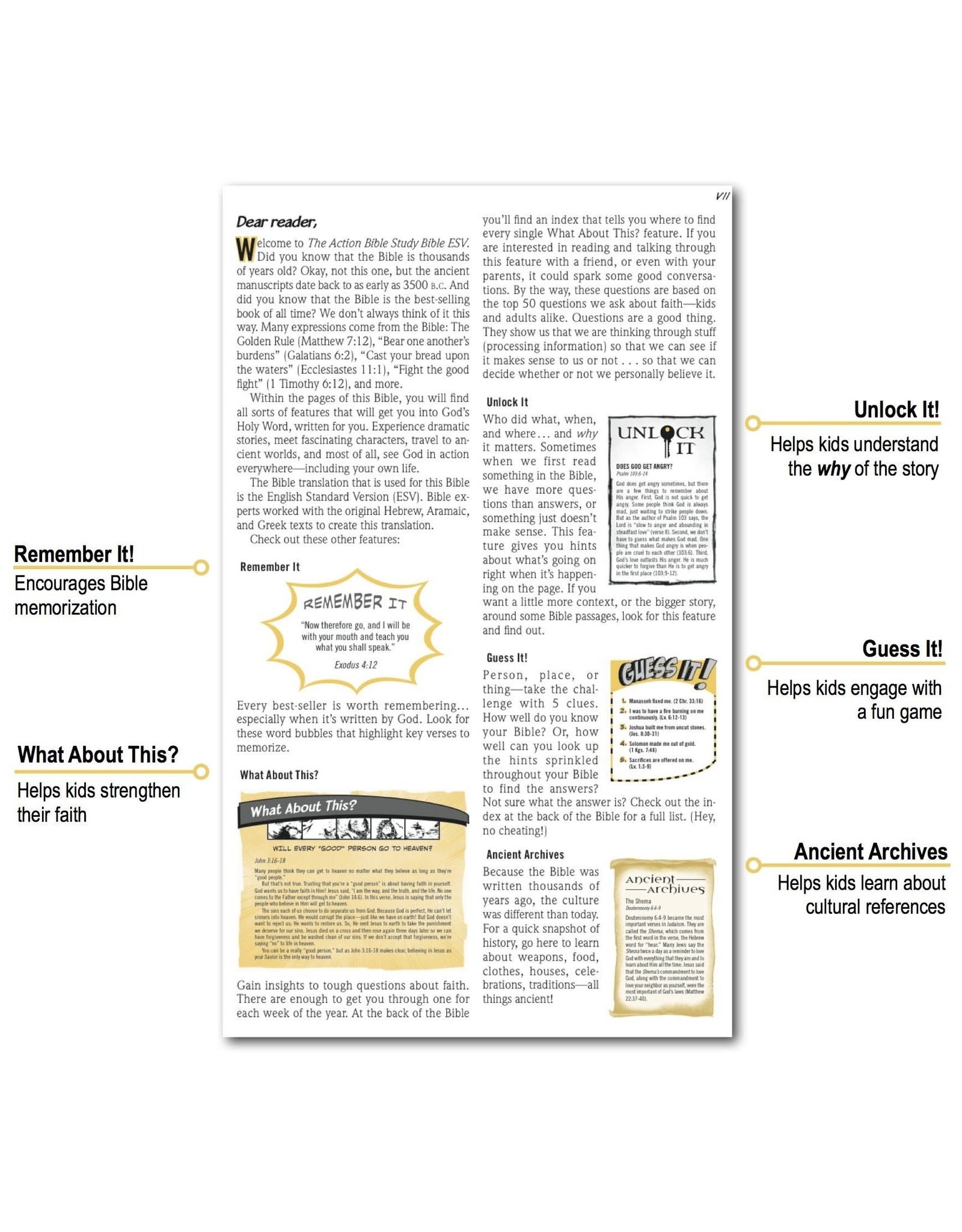 David C Cook Action Bible Study Bible-ESV