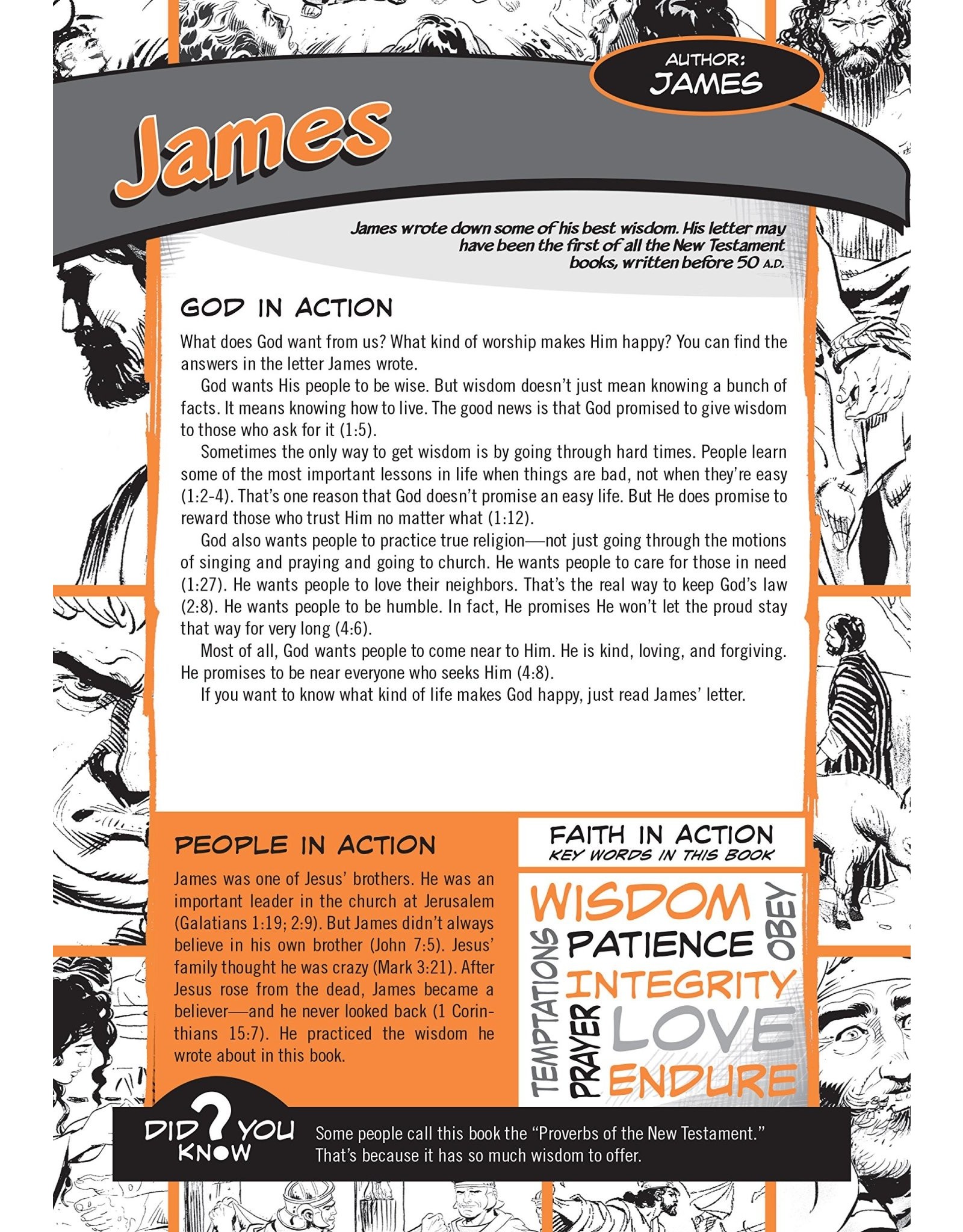 David C Cook Action Bible Study Bible-NIV