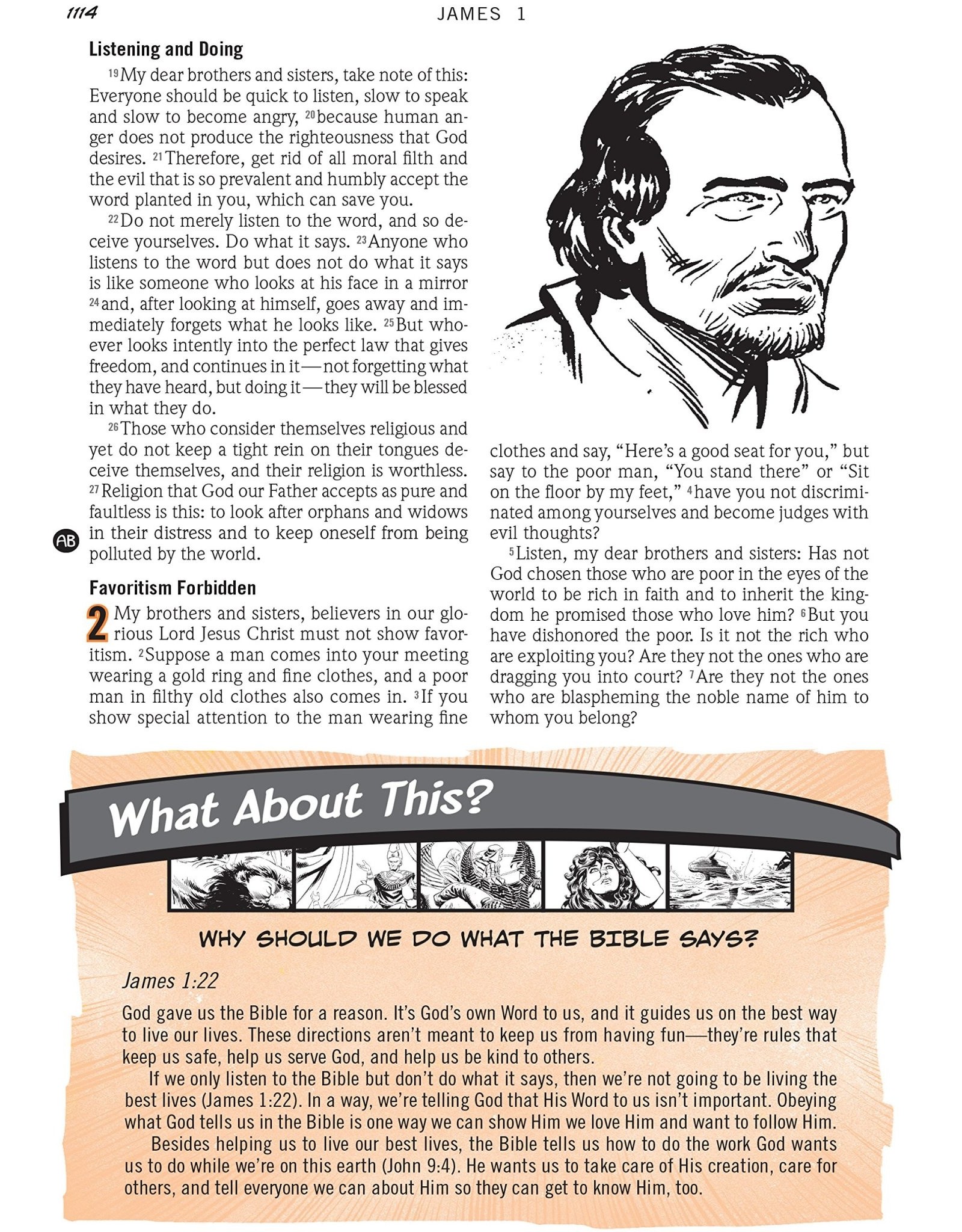 David C Cook Action Bible Study Bible-NIV