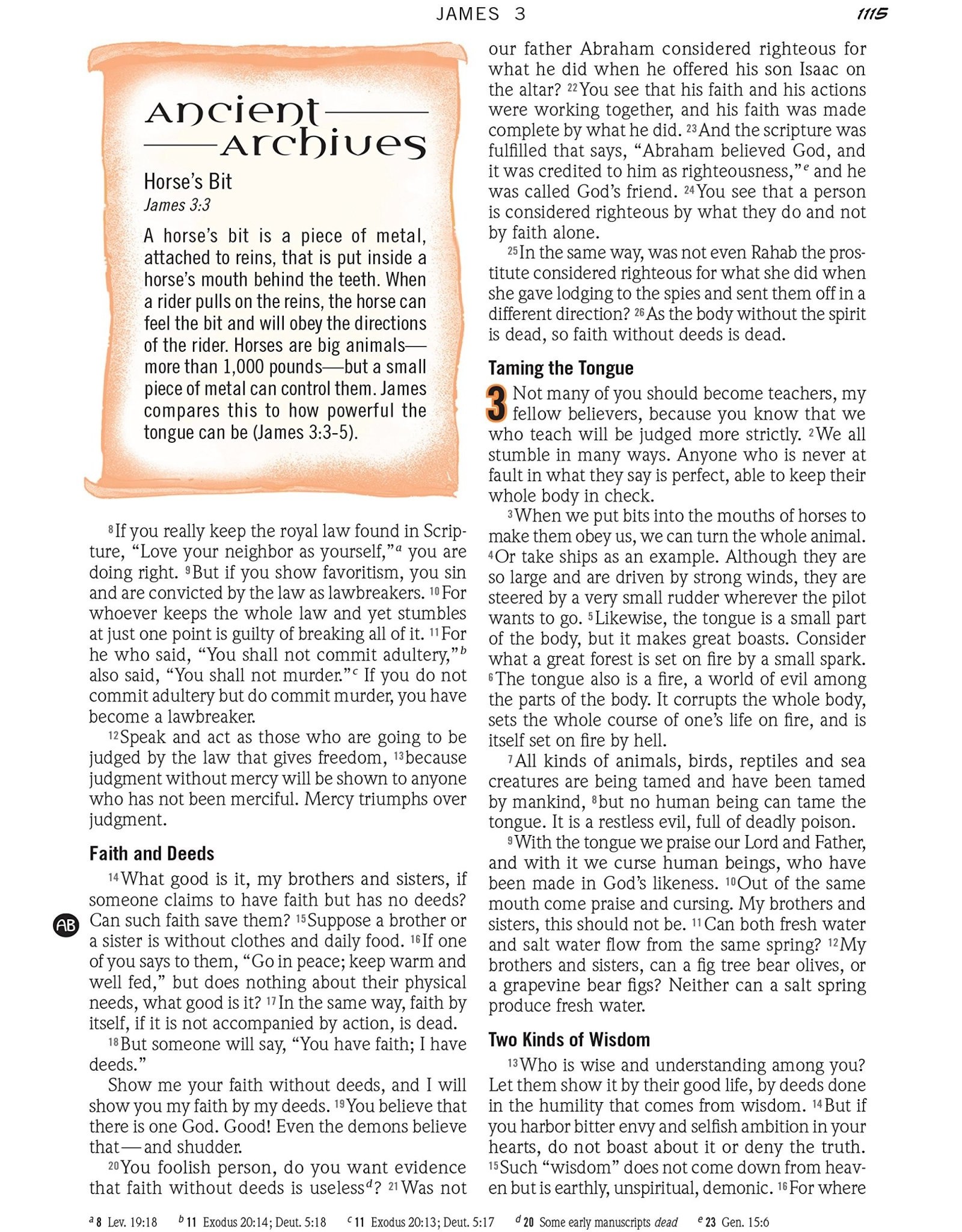 David C Cook Action Bible Study Bible-NIV