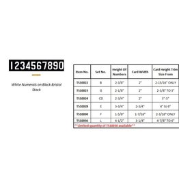 Flynn Hymn Board Numbers Set (please specify height) TS10023