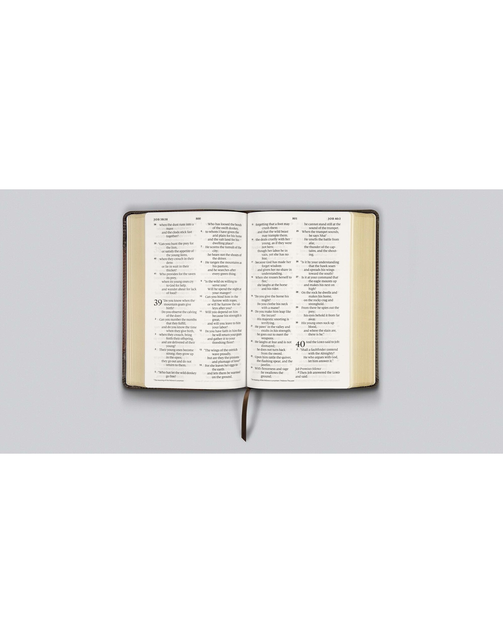 Crossway ESV Bible - Large Print, Personal Size, Black Leather, Red Letter