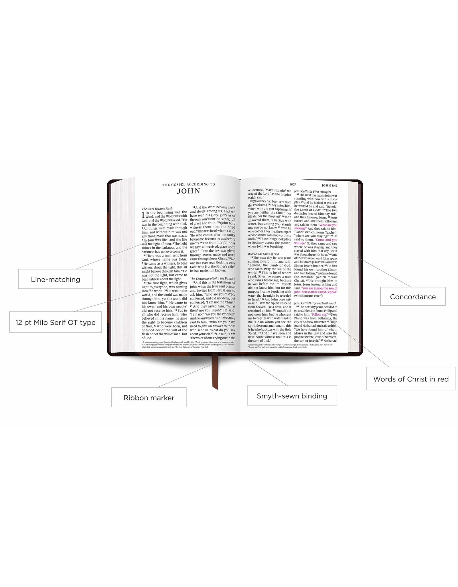 Crossway ESV Bible - Large Print, Personal Size, Black Leather, Red Letter
