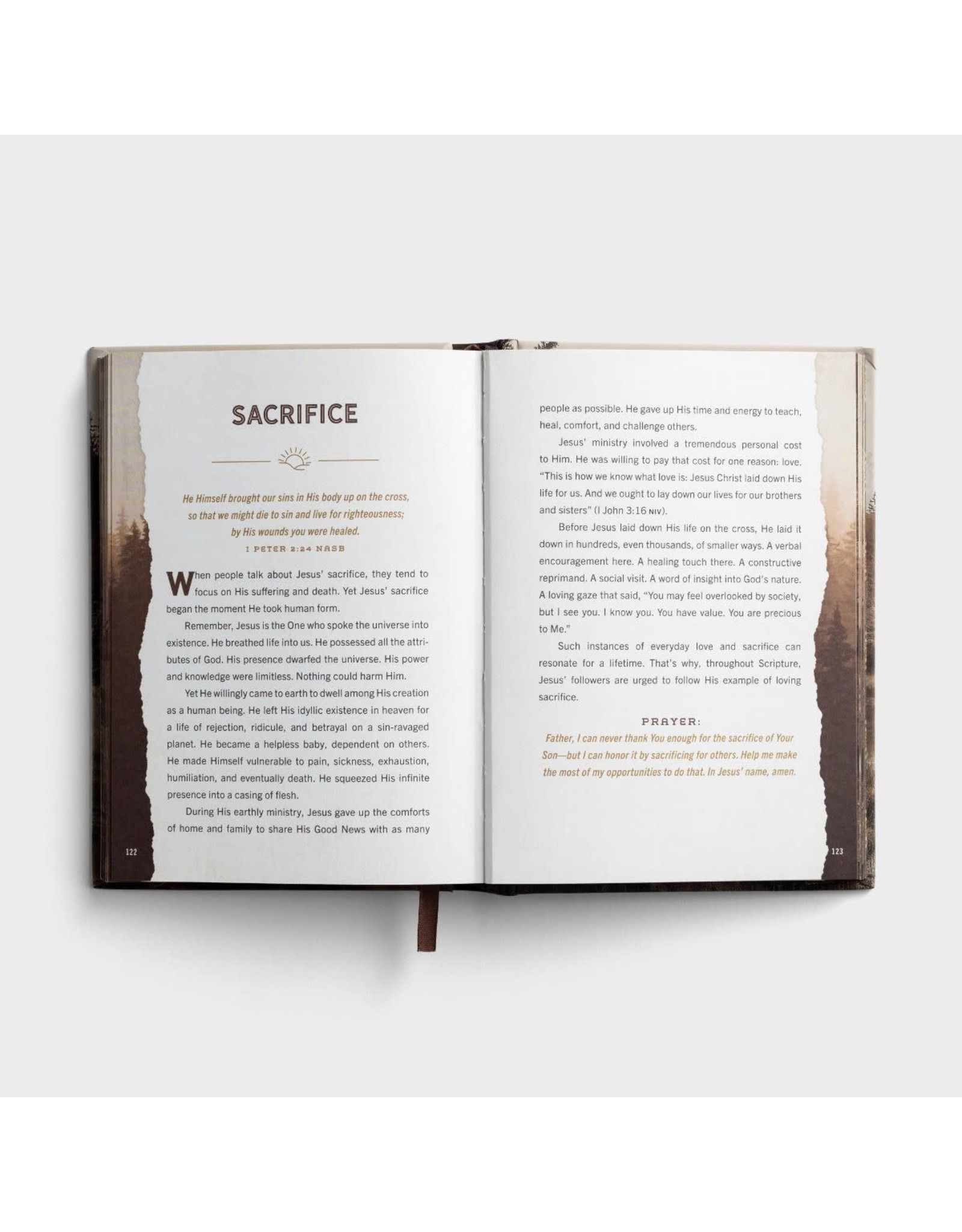 Dayspring Designed for Greatness: Devotions for Men