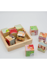 Shining Light St. Friends Wooden Cube Puzzle