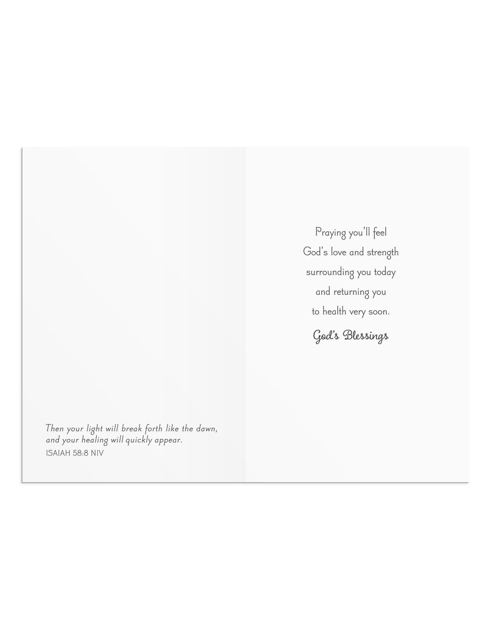 Dayspring Boxed Cards - Get Well, Nature's Blessing (12)