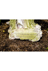 Orlandi St. Francis with Bowl Outdoor Statue - Fiber Stone, White Moss Finish (23")