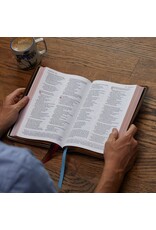 Thomas Nelson NKJV Thinline Reference Bible, Large Print, Blue Leathersoft with Rose Gold