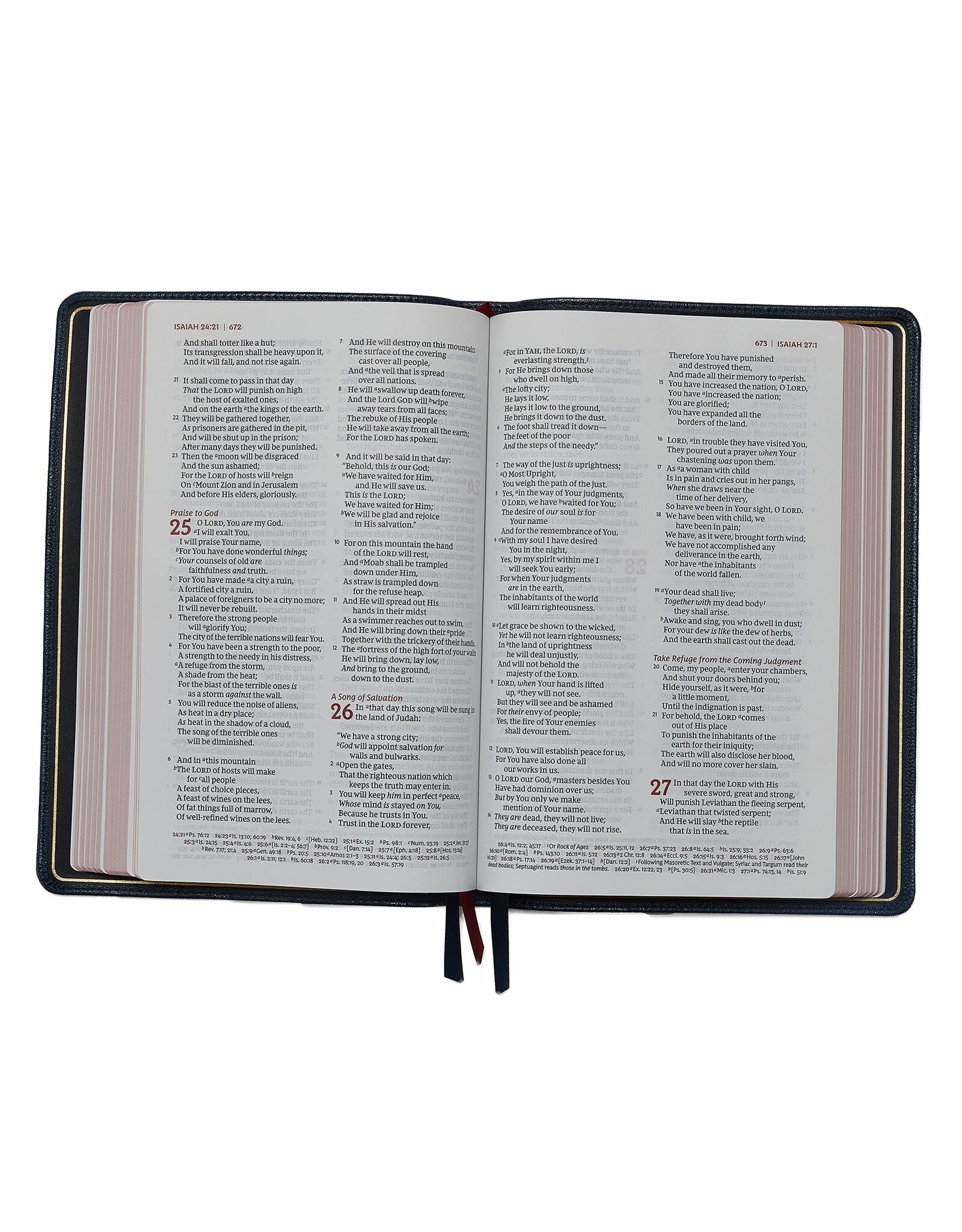 Thomas Nelson NKJV Thinline Reference Bible, Large Print, Blue Leathersoft with Rose Gold
